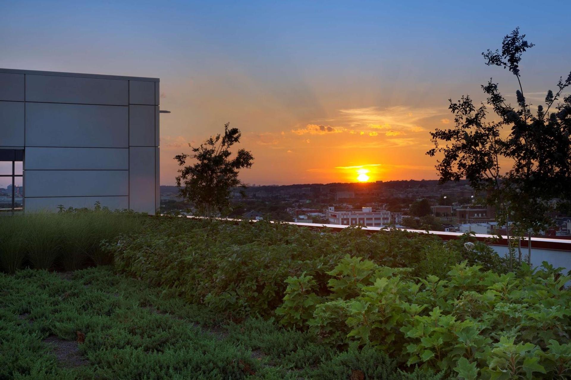 Hampton Inn Washington DC NoMa Union Station photo 4