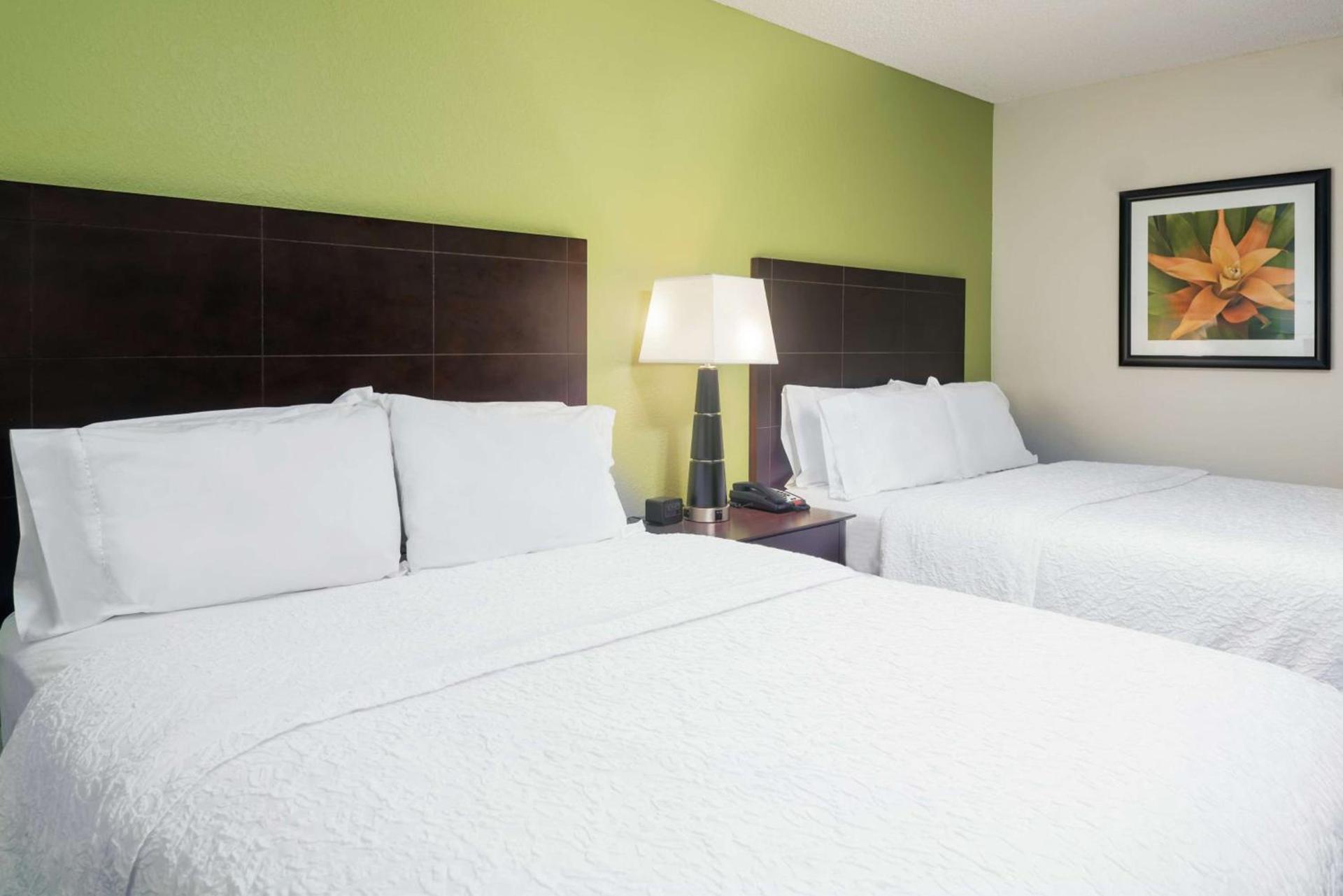 Hampton Inn Orlando-International Airport photo 22