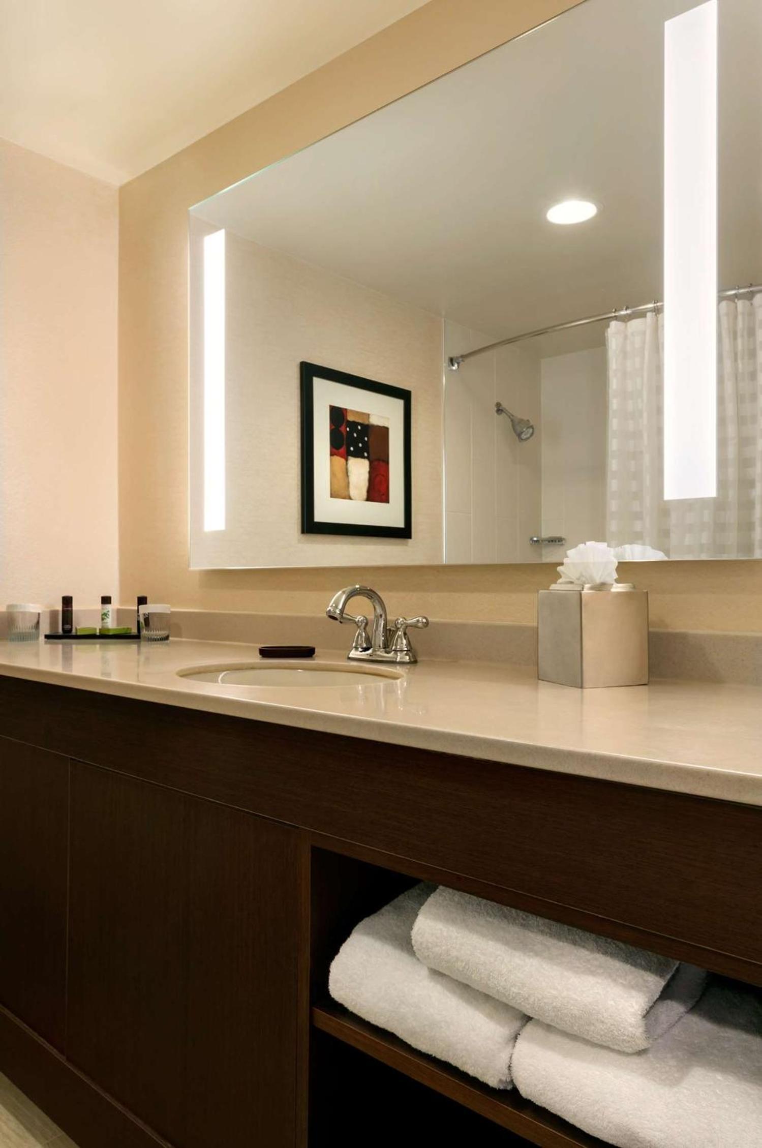 Embassy Suites by Hilton Chicago North Shore Deerfield photo 28
