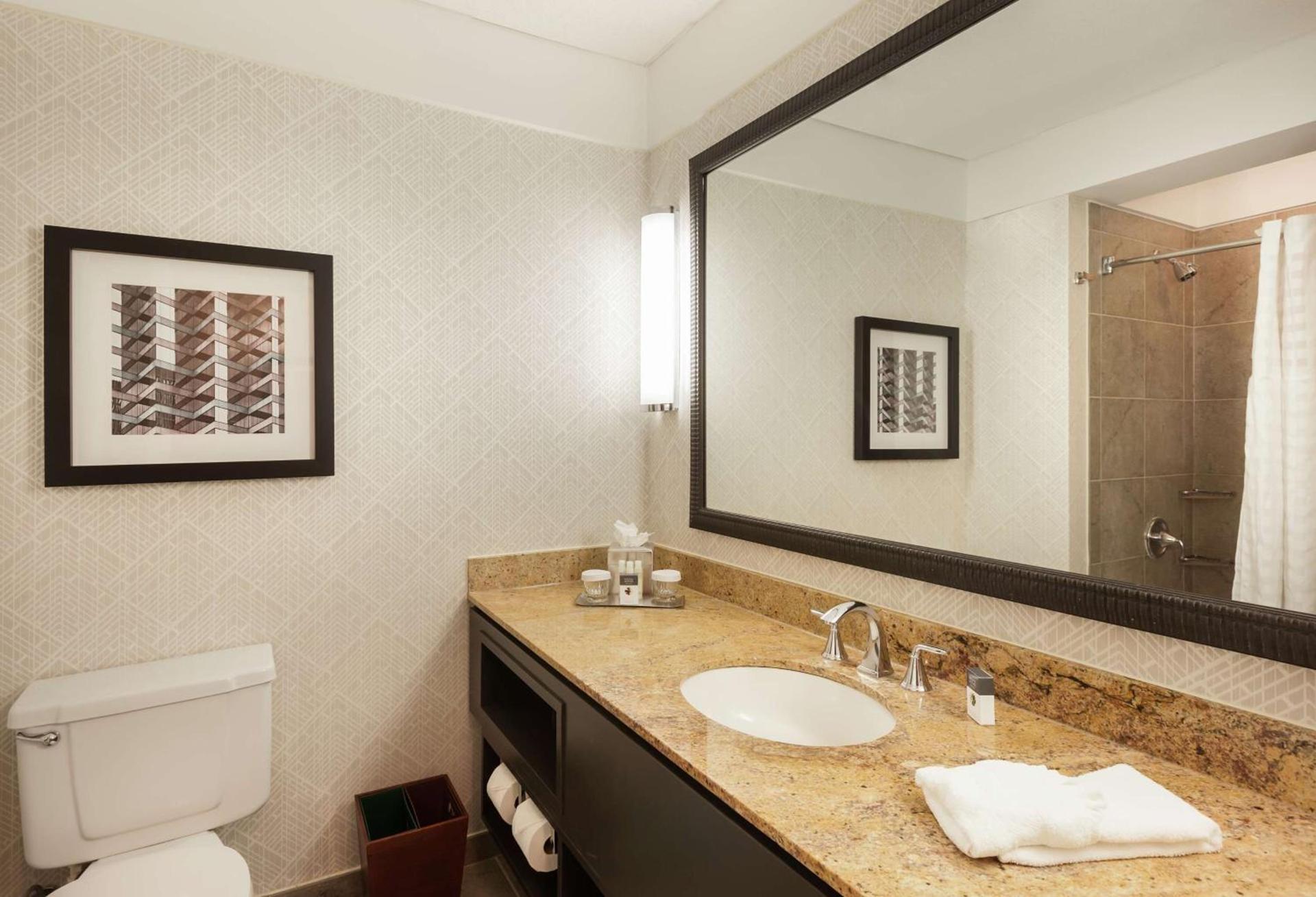 DoubleTree by Hilton Hotel & Suites Houston by the Galleria photo 14
