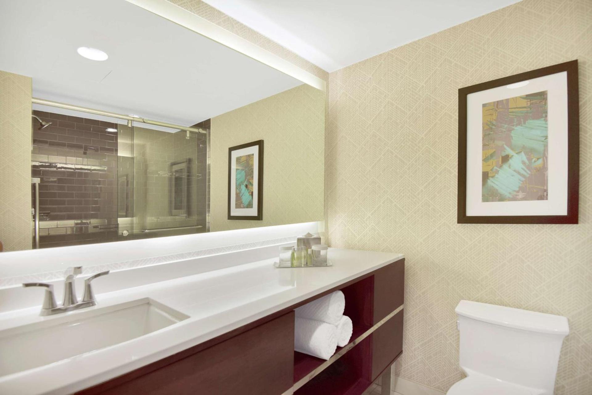 DoubleTree by Hilton Hotel & Suites Houston by the Galleria photo 22