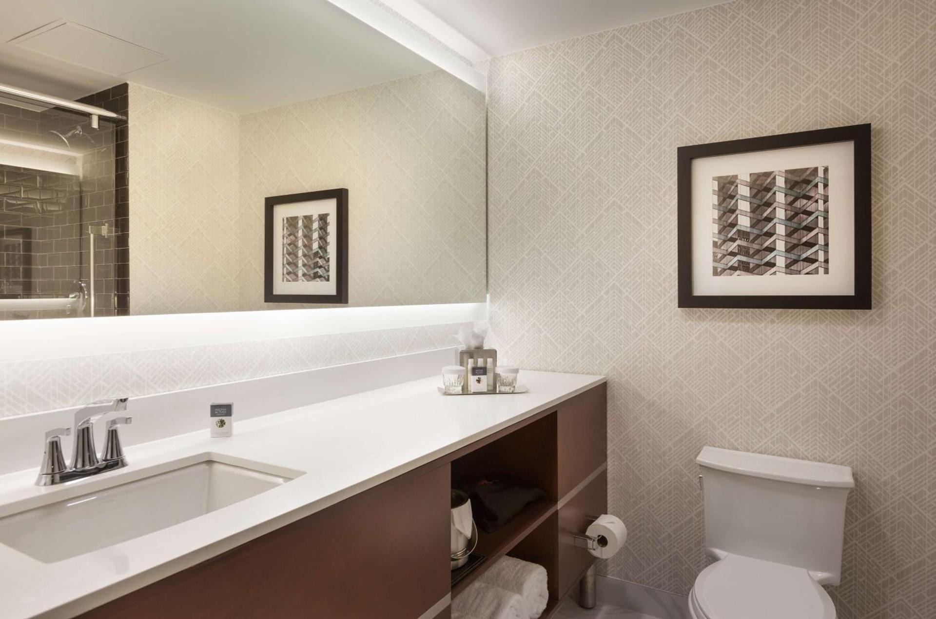 DoubleTree by Hilton Hotel & Suites Houston by the Galleria photo 31