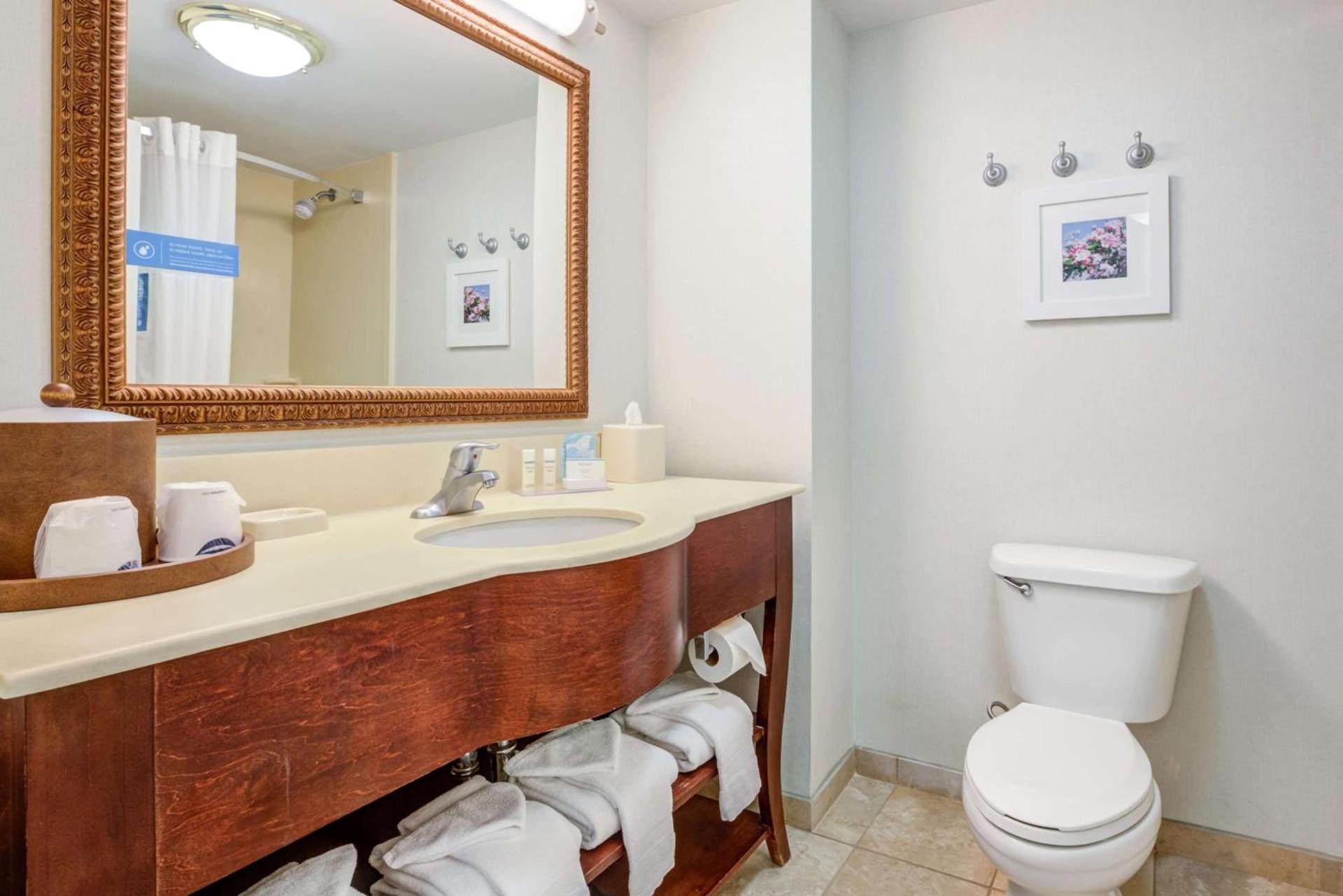 Hampton Inn & Suites Westford-Chelmsford photo 18