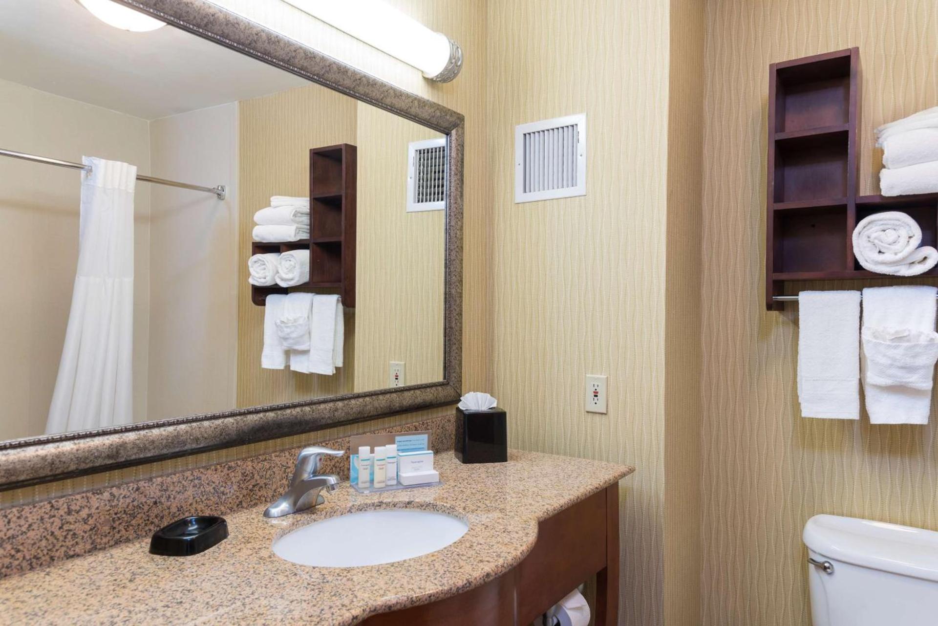Hampton Inn East Lansing photo 19