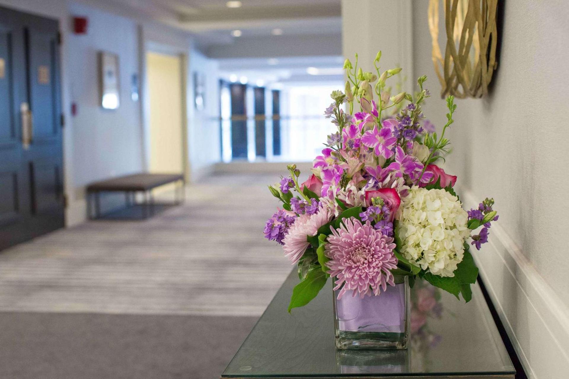Hilton Newark Airport photo 47