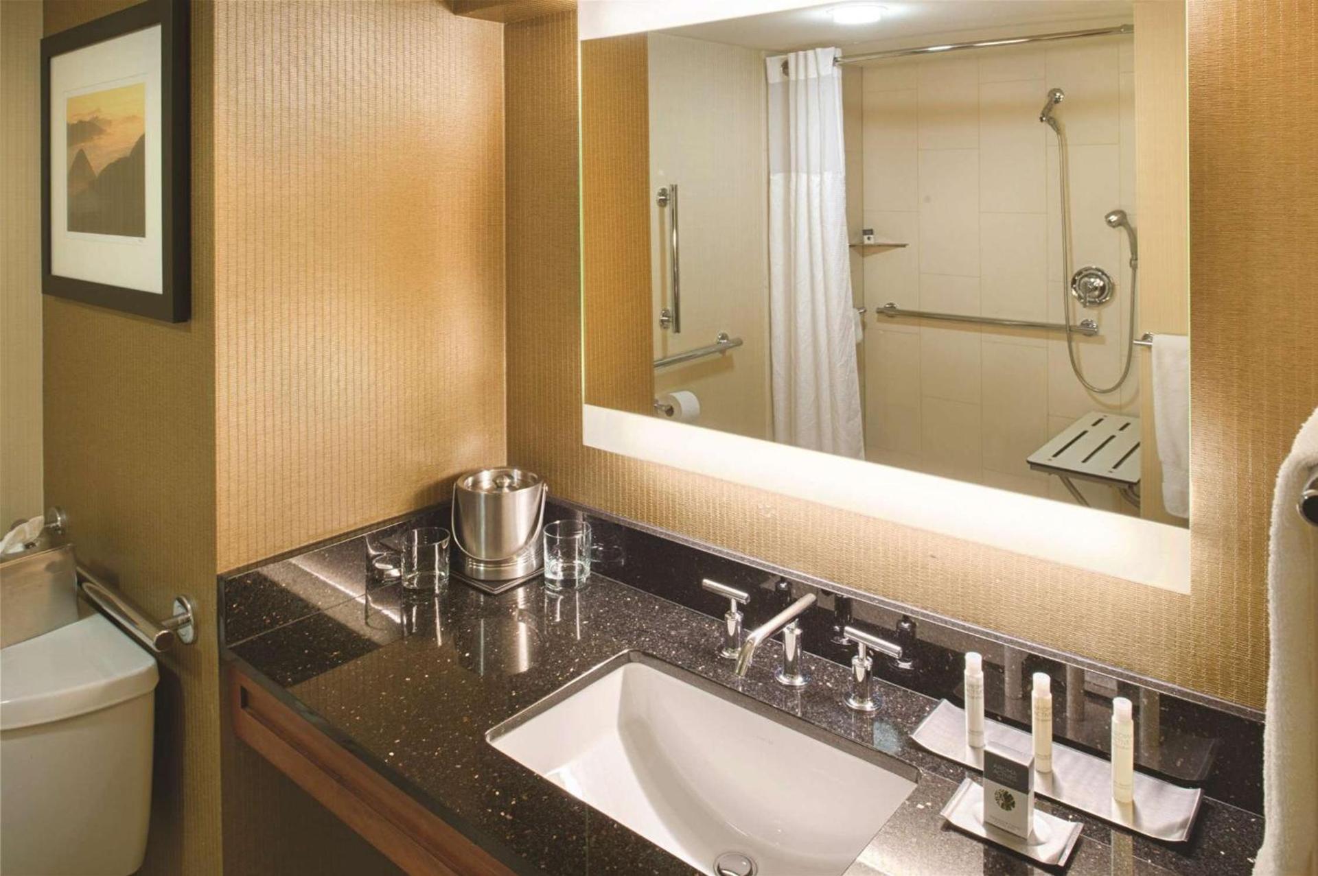 DoubleTree by Hilton Seattle Airport photo 10