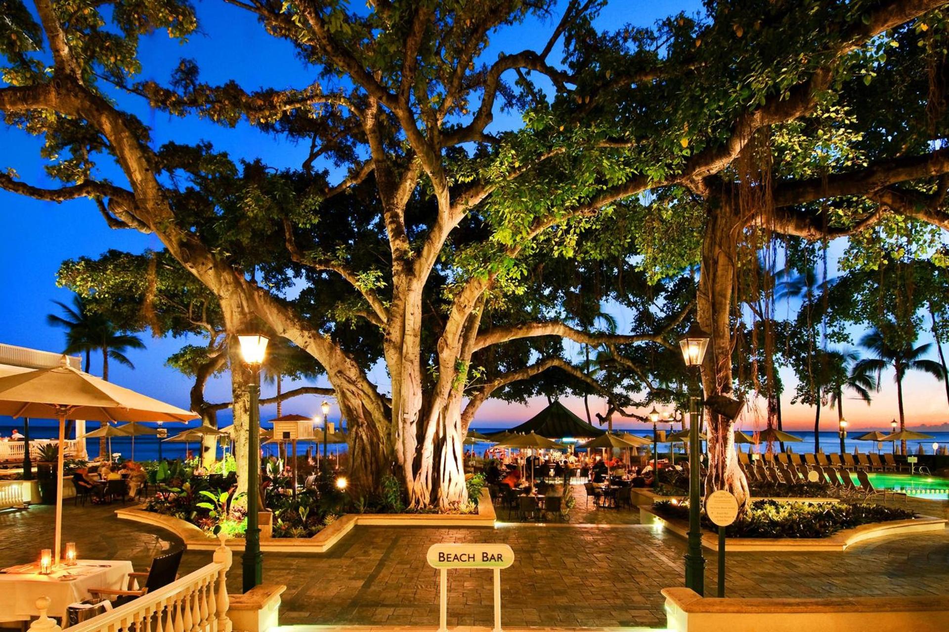 Moana Surfrider, A Westin Resort & Spa, Waikiki Beach photo 11