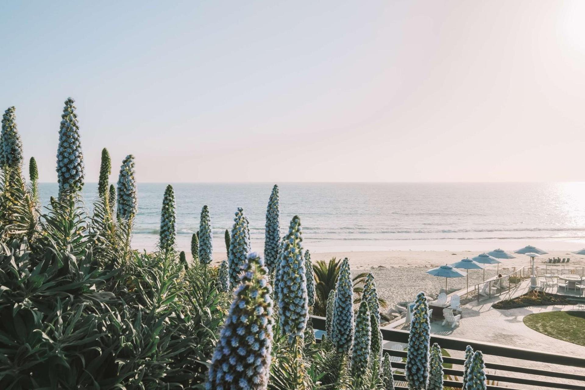 Waldorf Astoria Monarch Beach Resort & Club photo 5