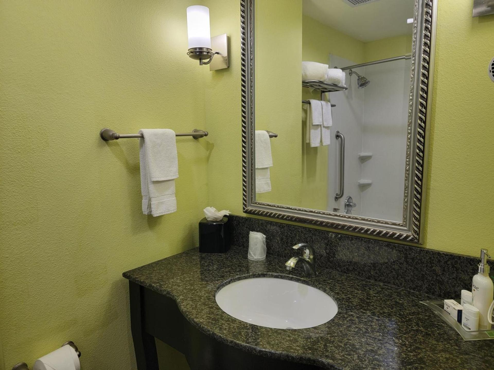 Holiday Inn Garland by IHG photo 68