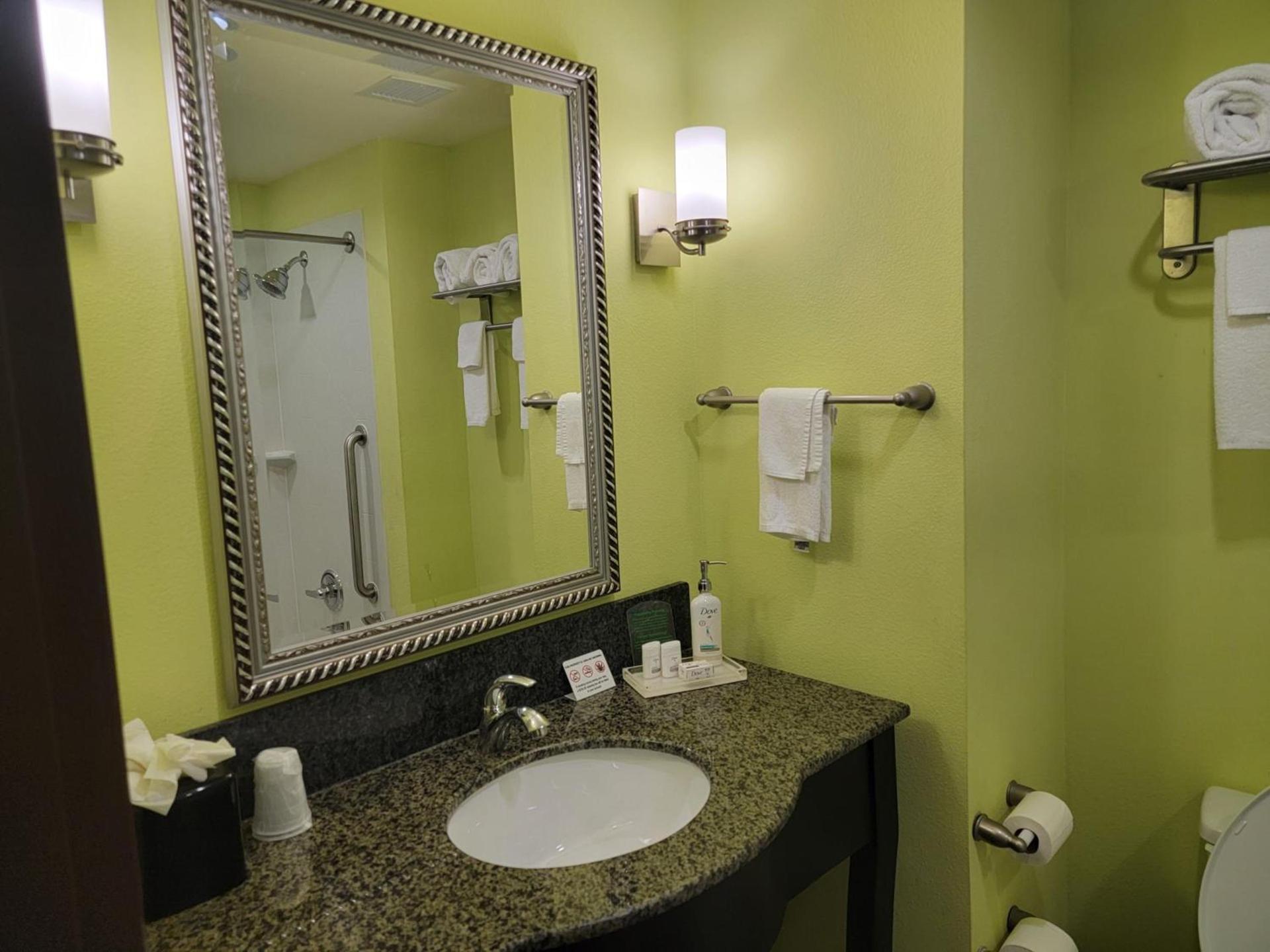 Holiday Inn Garland by IHG photo 24