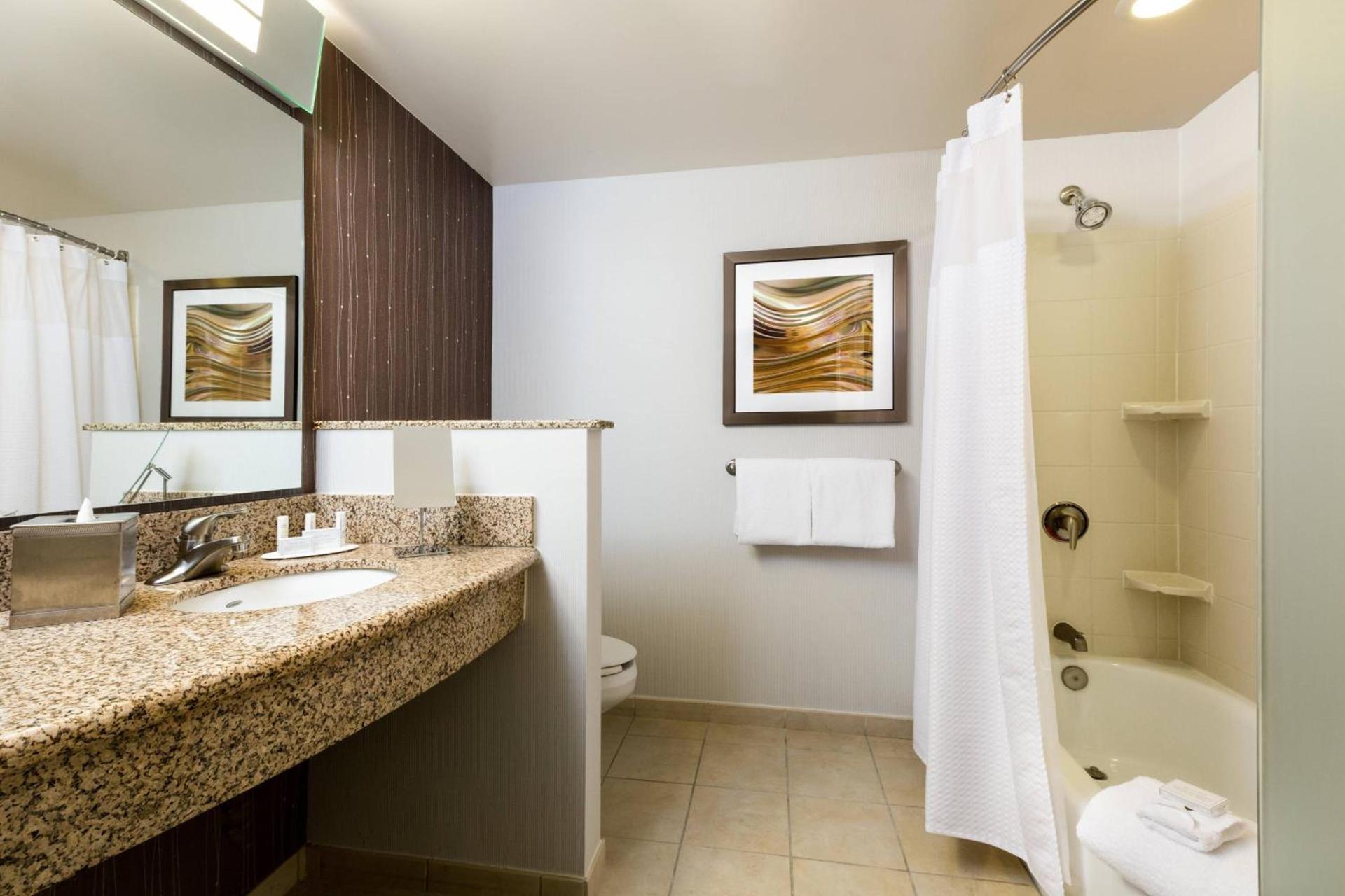 Courtyard by Marriott Houston Galleria photo 11