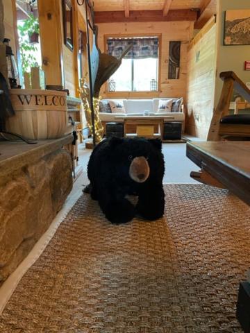 The Snowed Inn photo 70