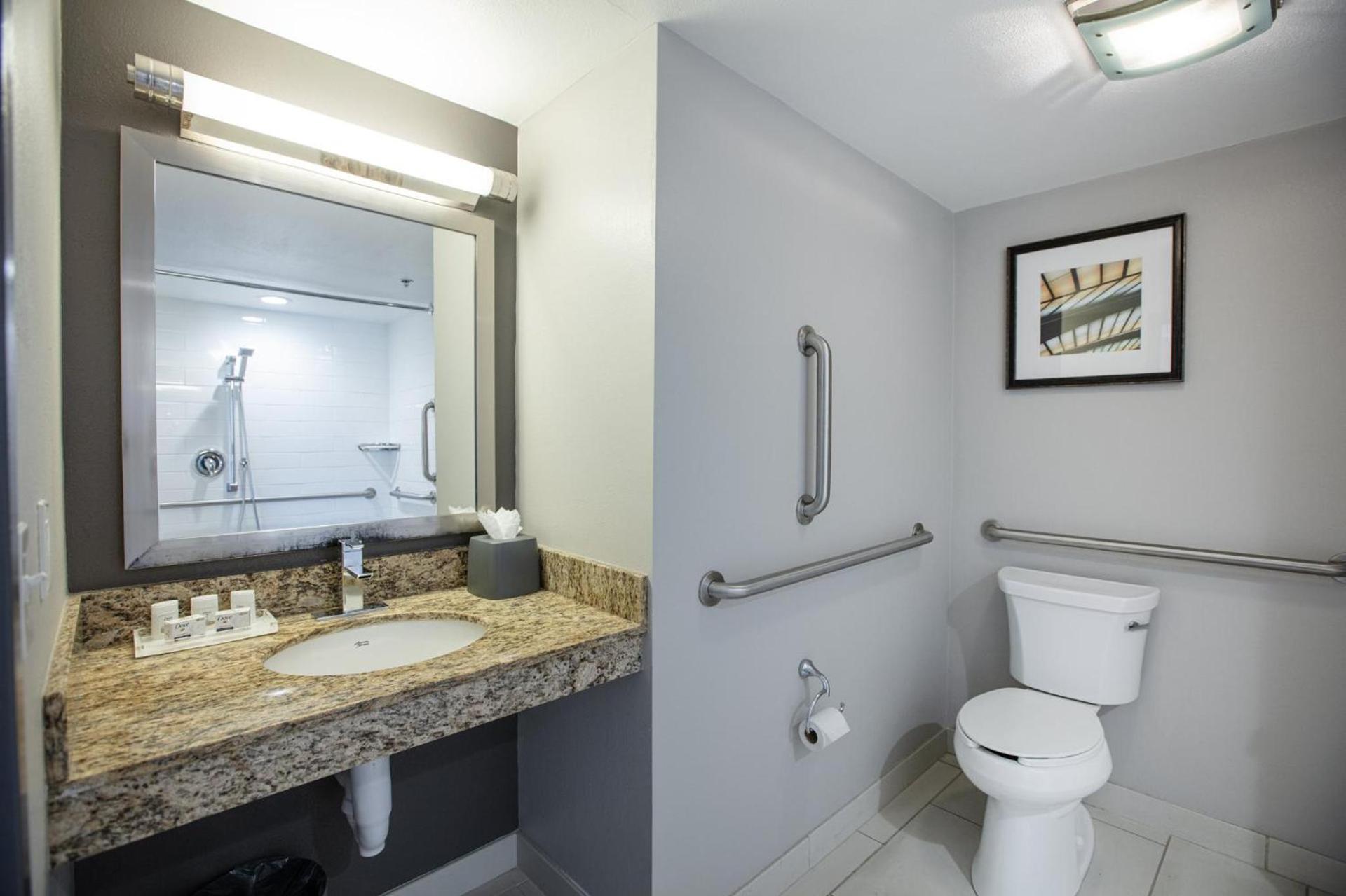 Holiday Inn St Louis SW - Route 66 by IHG photo 43