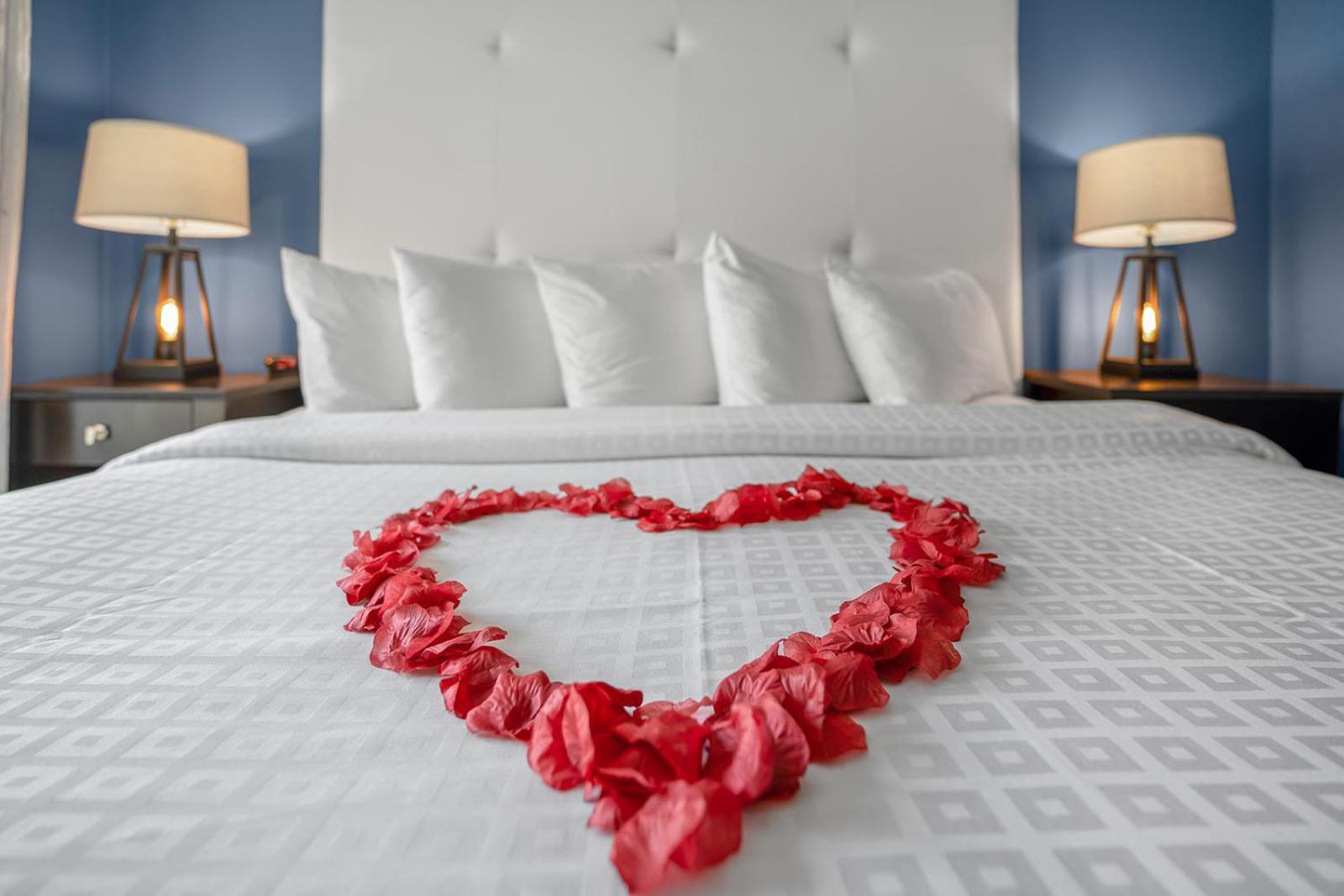 Avalon Hotel Downtown St. Petersburg photo 10