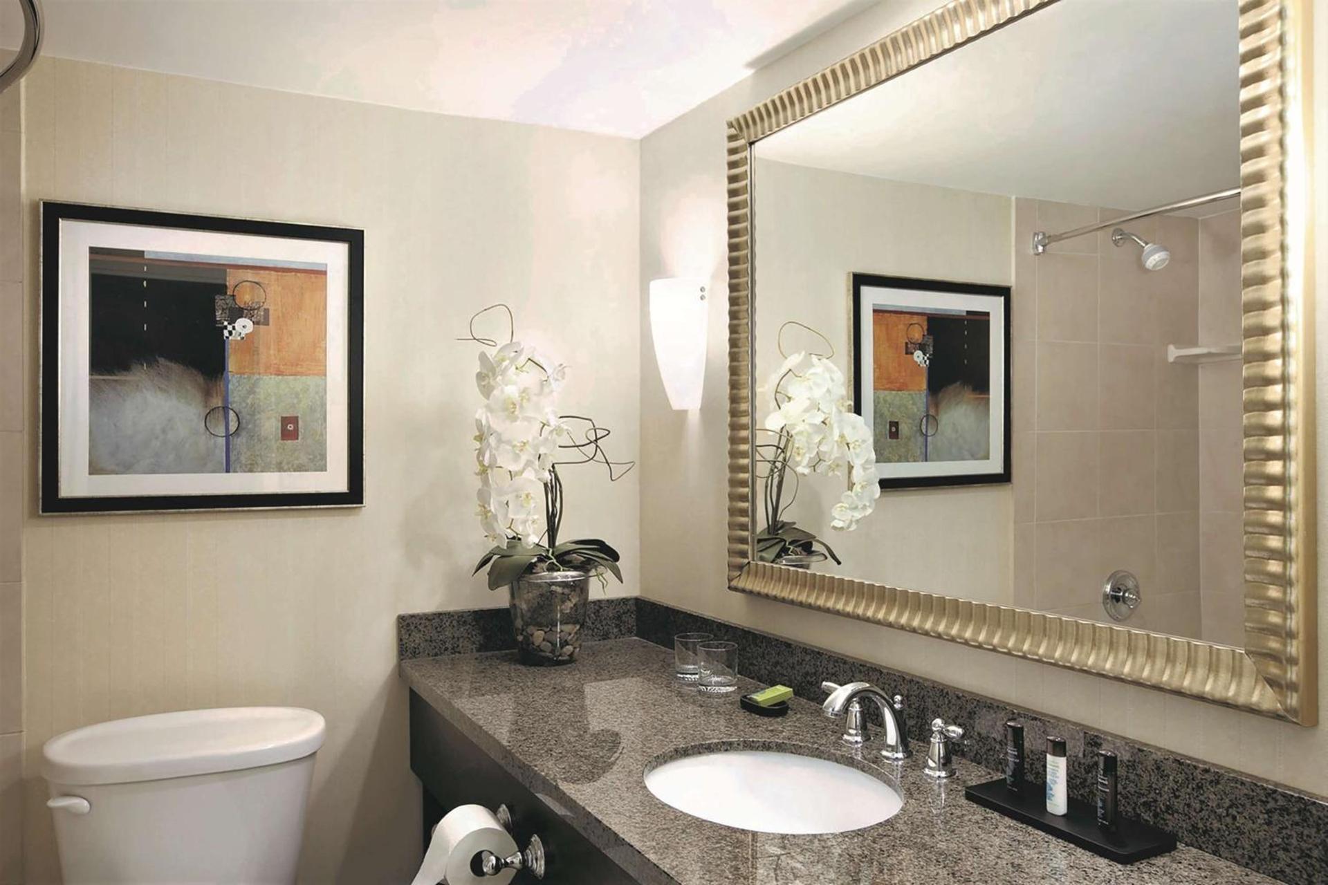 Embassy Suites Denver Tech Center photo 18