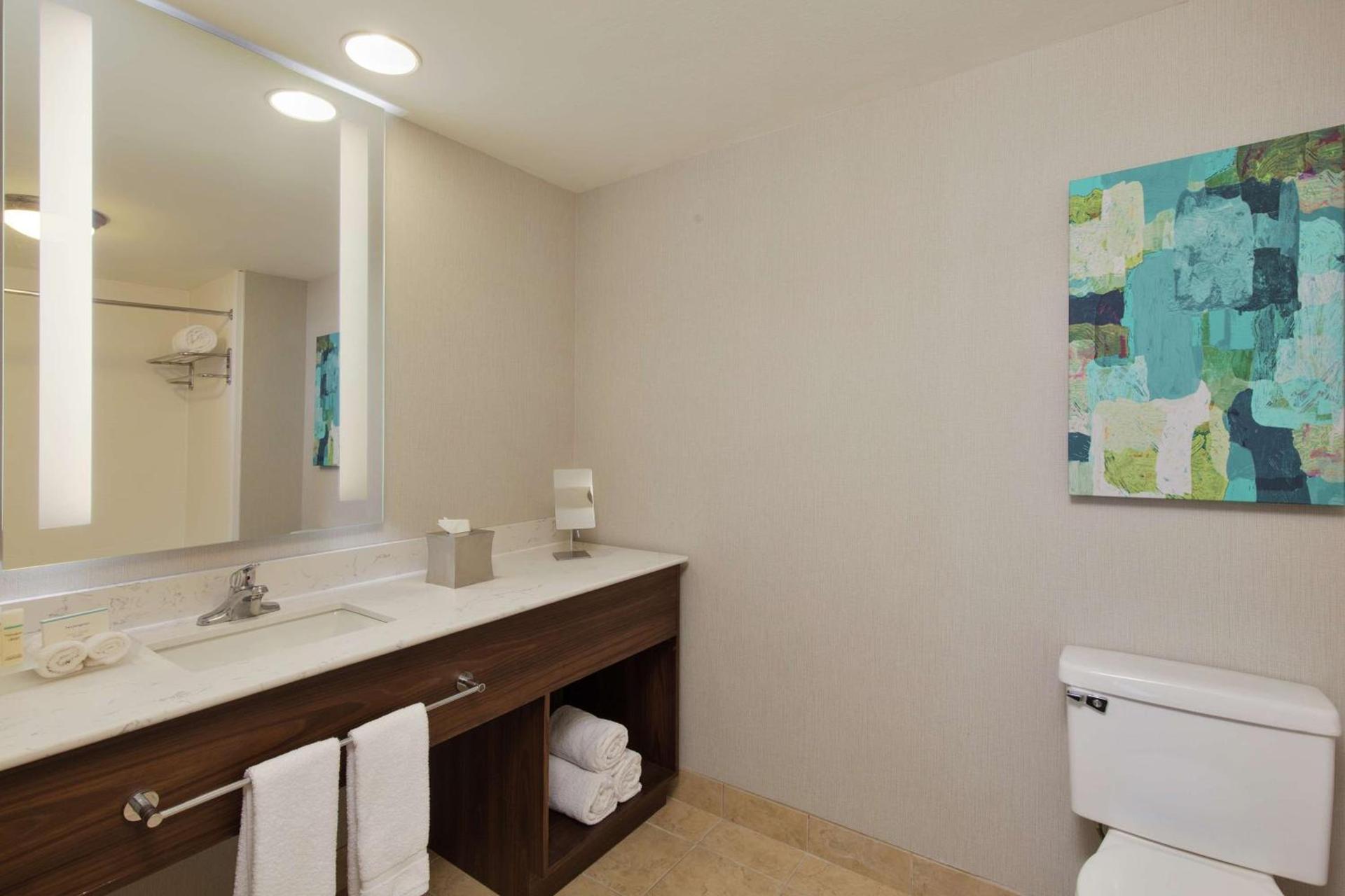 Homewood Suites by Hilton Lubbock photo 17