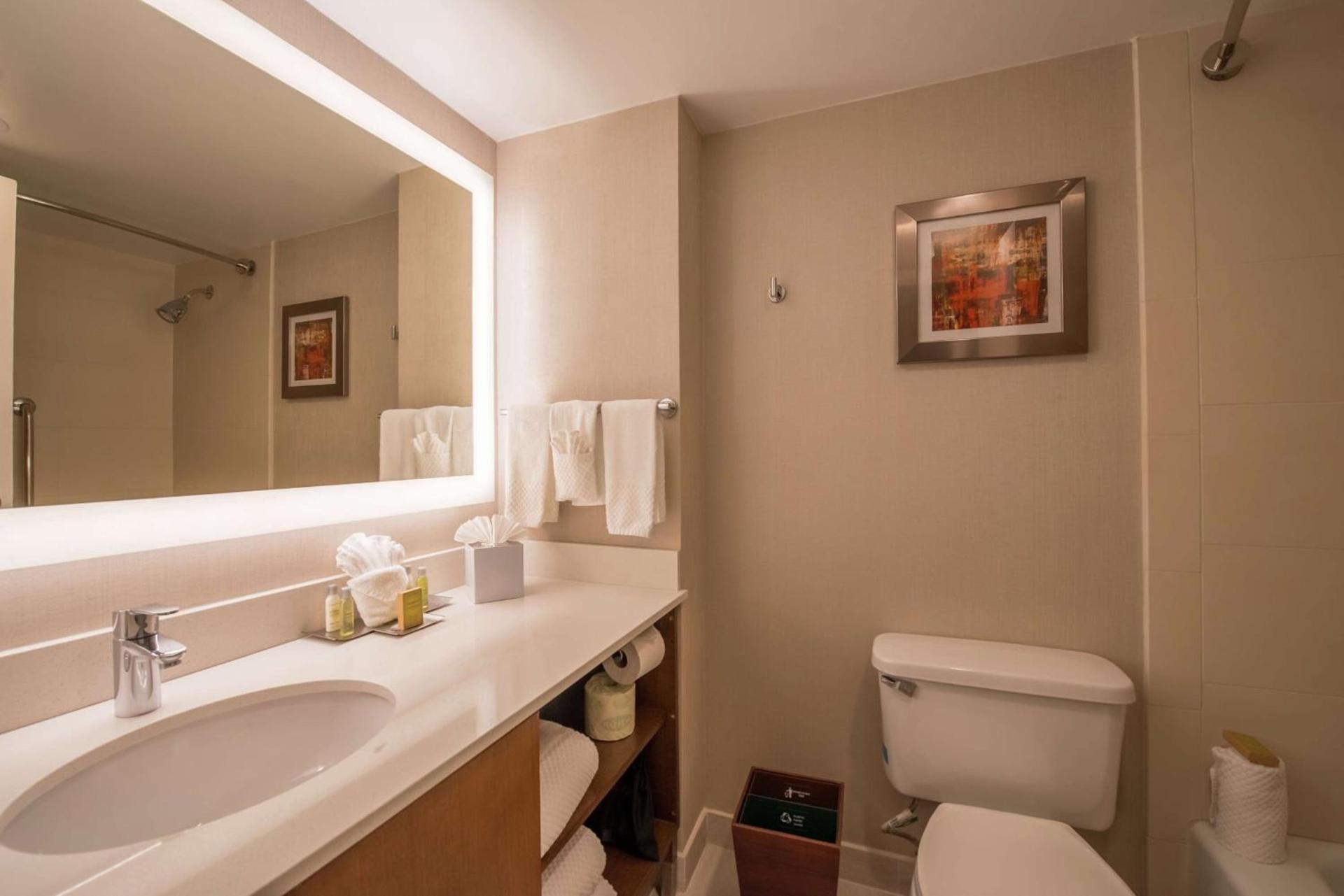 DoubleTree by Hilton Atlanta North Druid Hills/Emory Area photo 22
