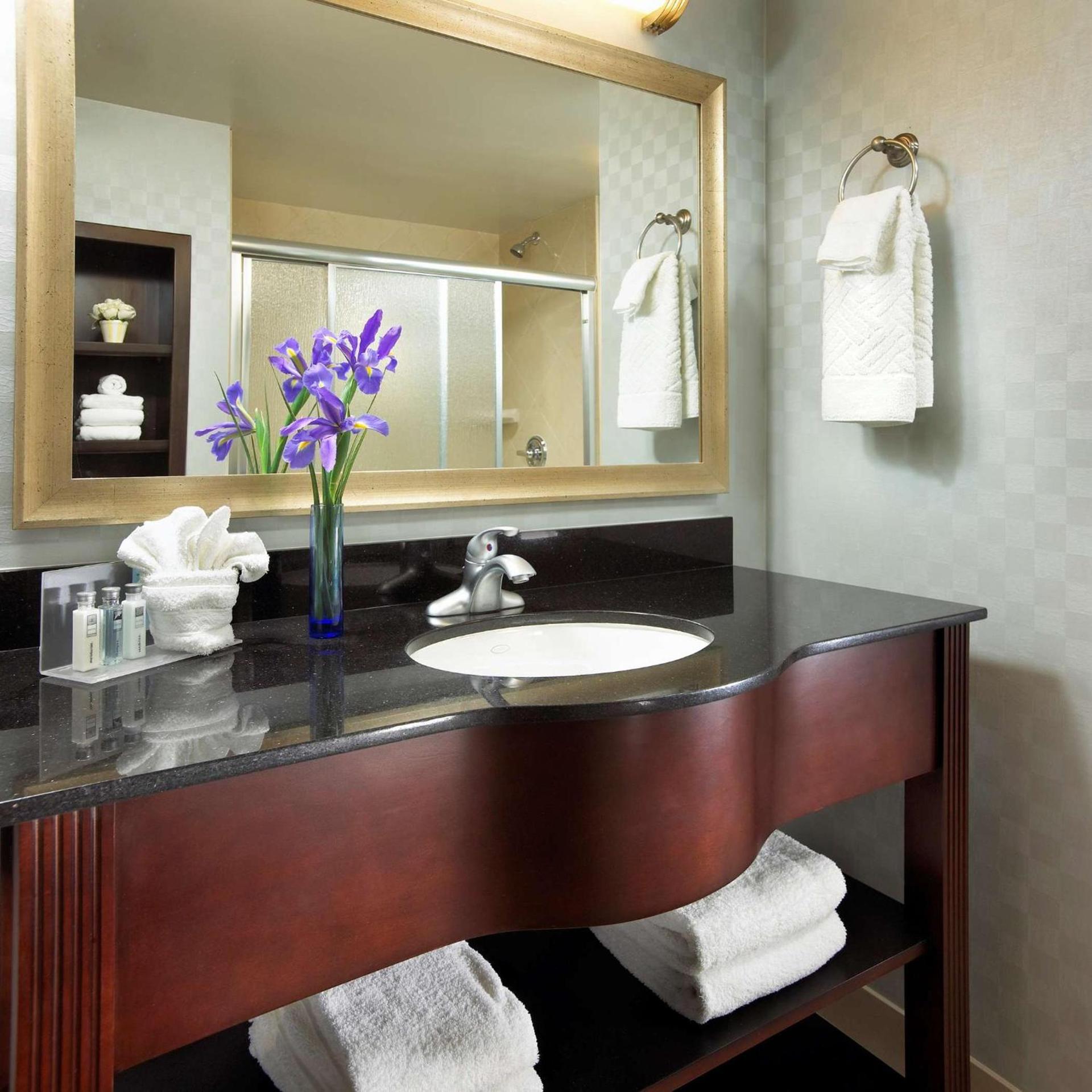 Hampton Inn San Diego Mission Valley photo 21