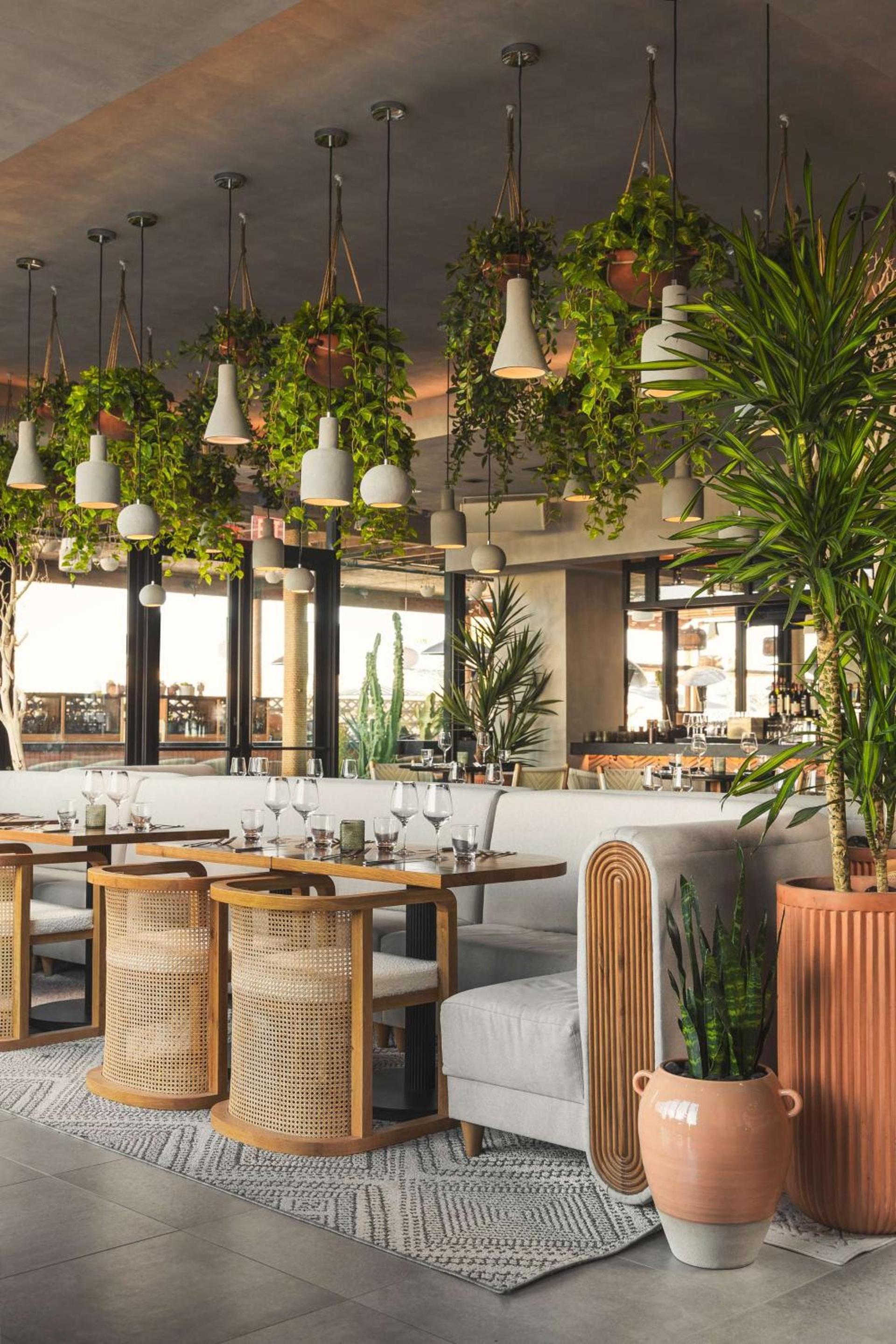Senna House Hotel Scottsdale, Curio Collection By Hilton photo 22