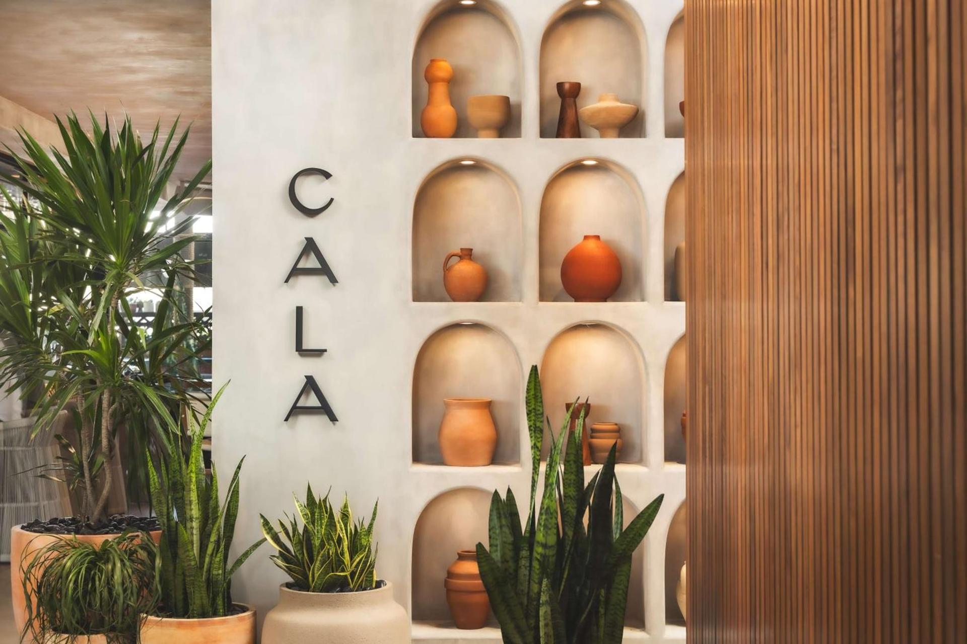 Senna House Hotel Scottsdale, Curio Collection By Hilton photo 24