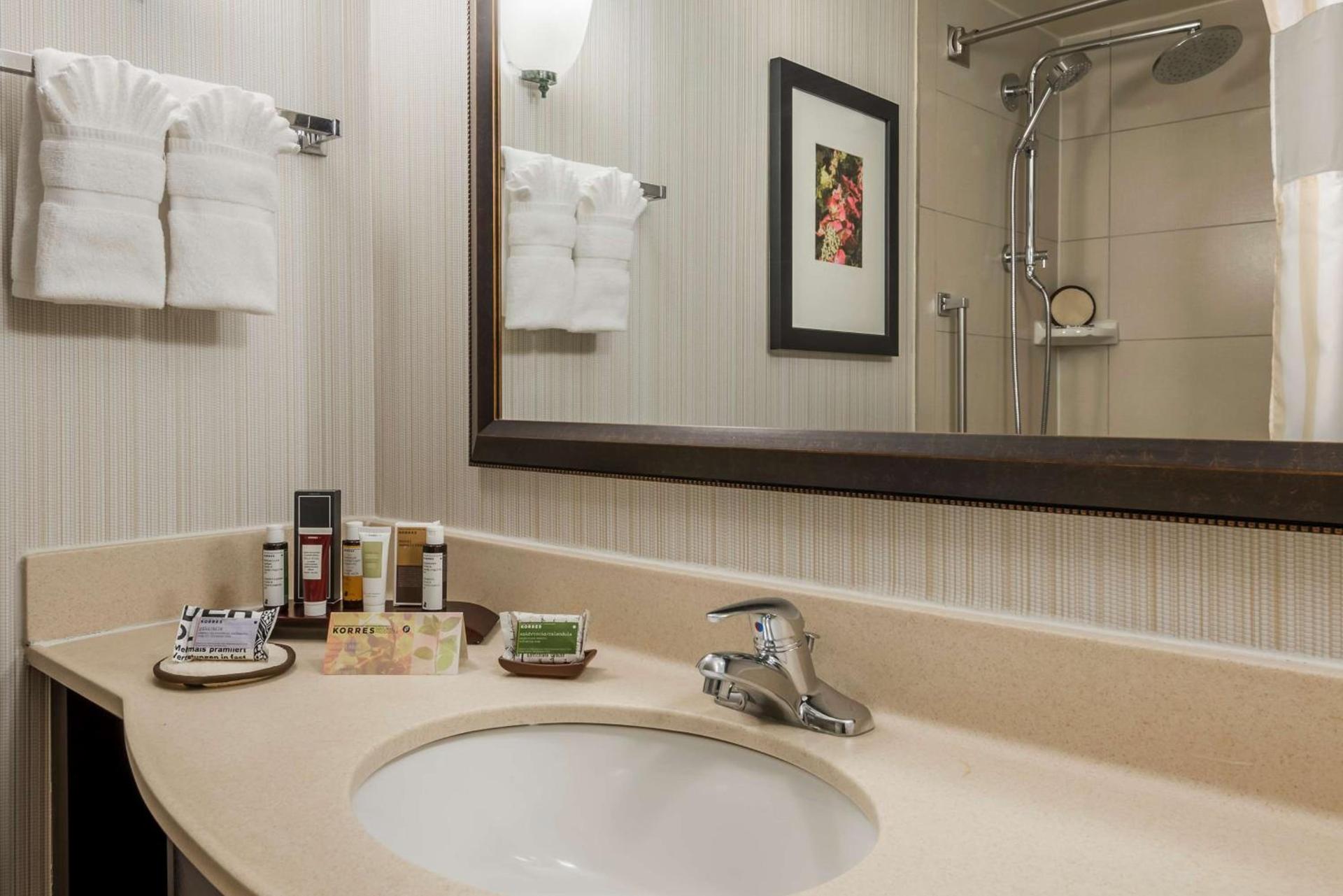 Hilton Garden Inn Atlanta North/Alpharetta photo 26
