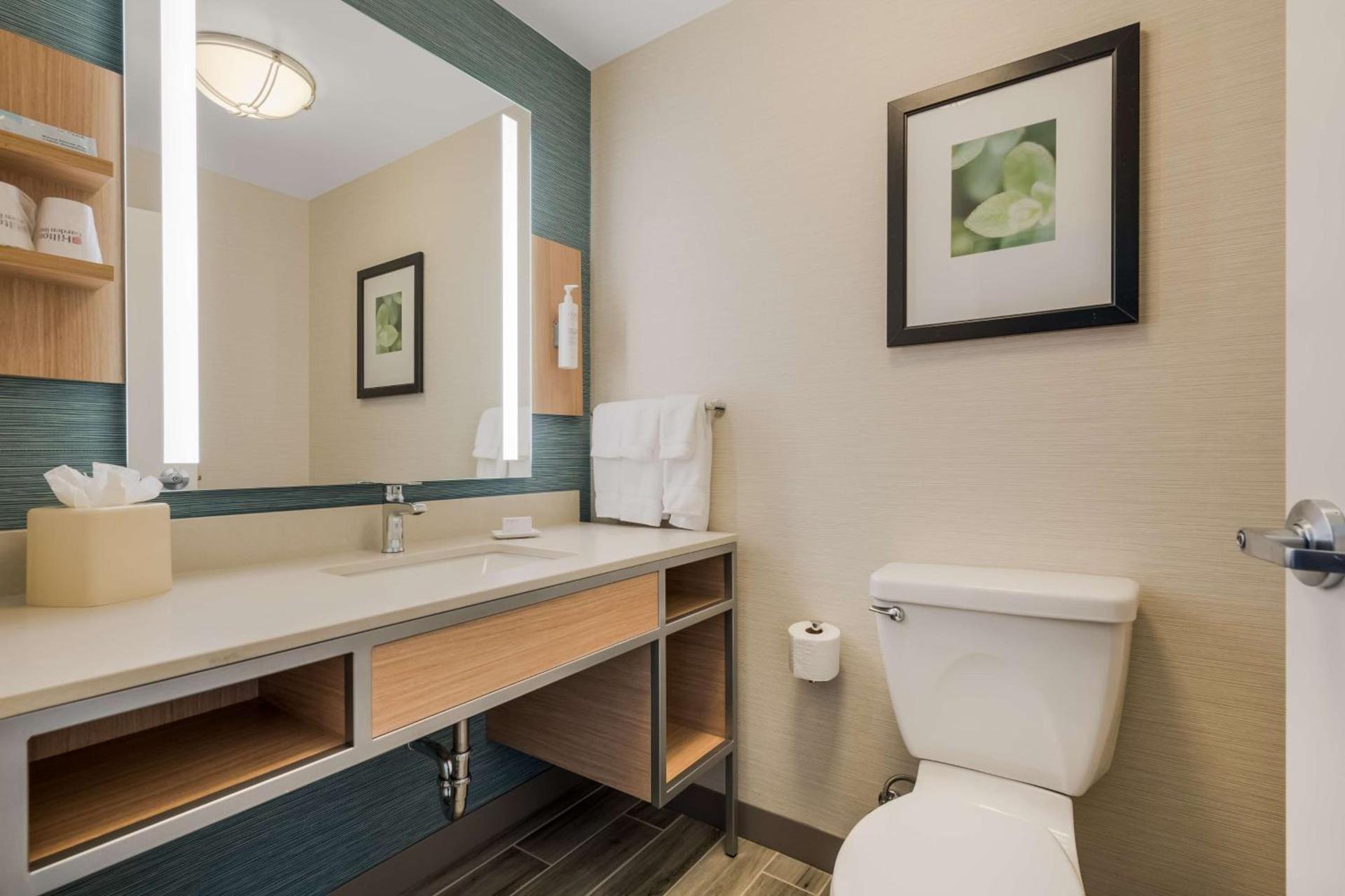 Hilton Garden Inn Rockford photo 42