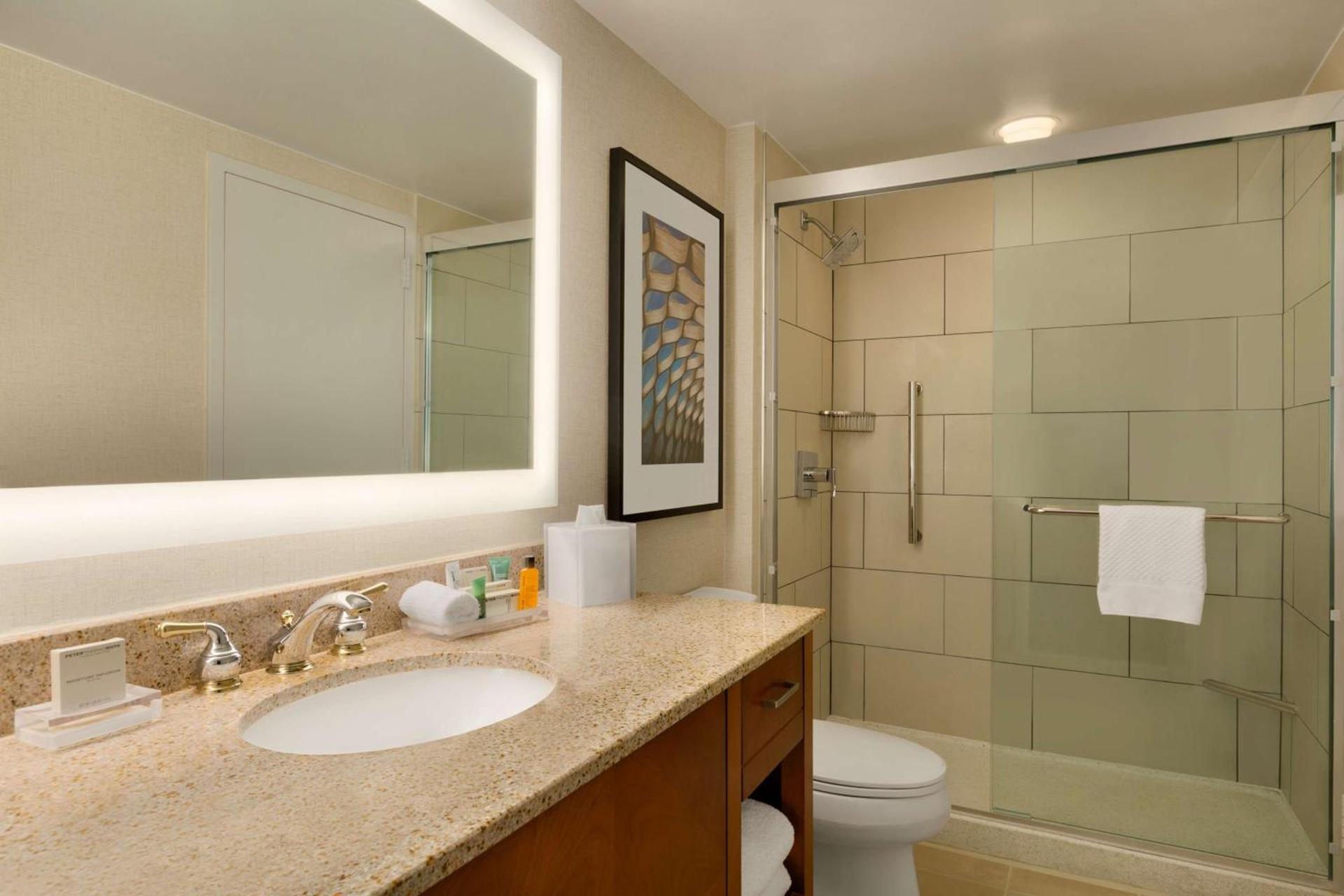 Hilton Chicago Magnificent Mile Suites photo 21