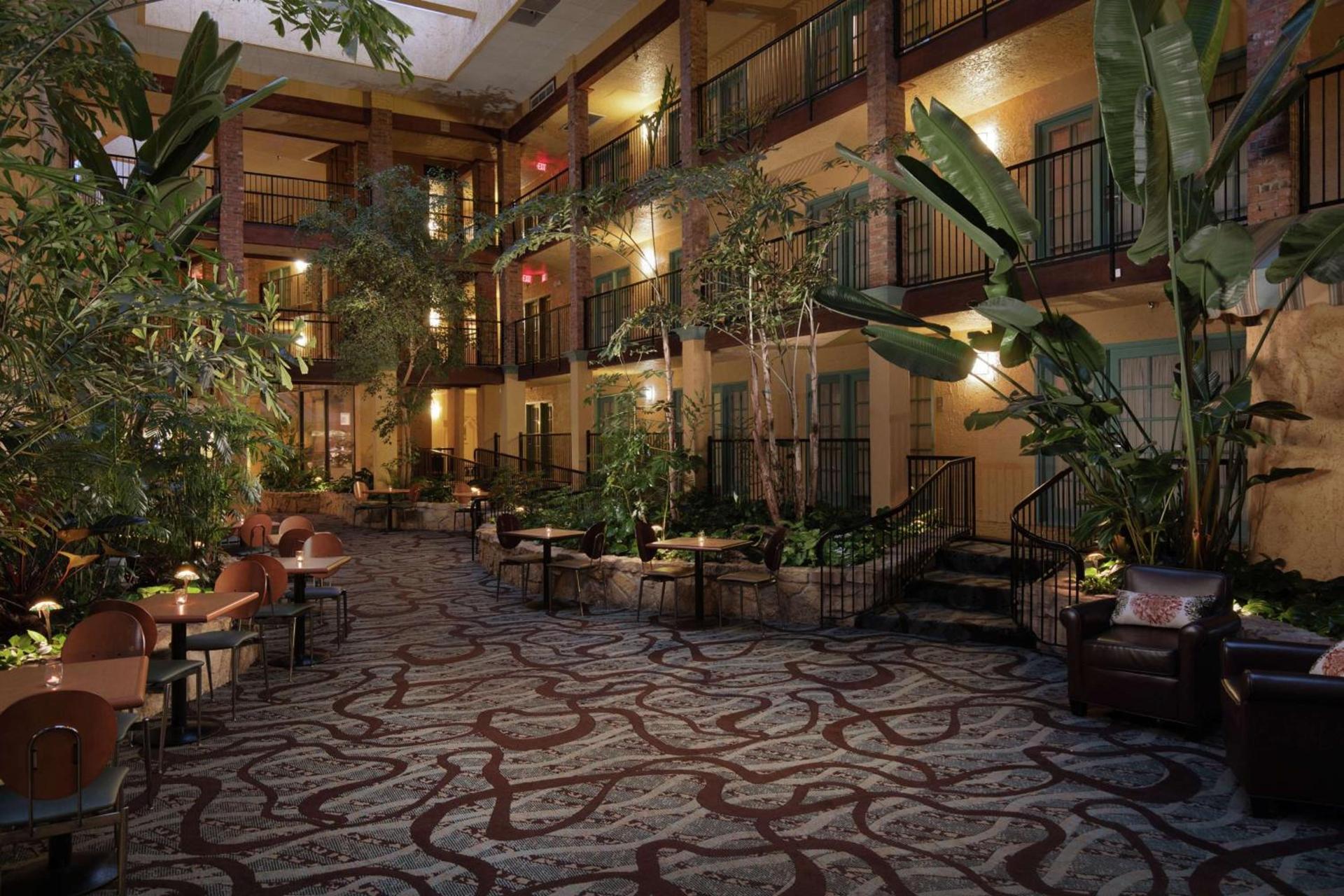 Embassy Suites Lubbock photo 5