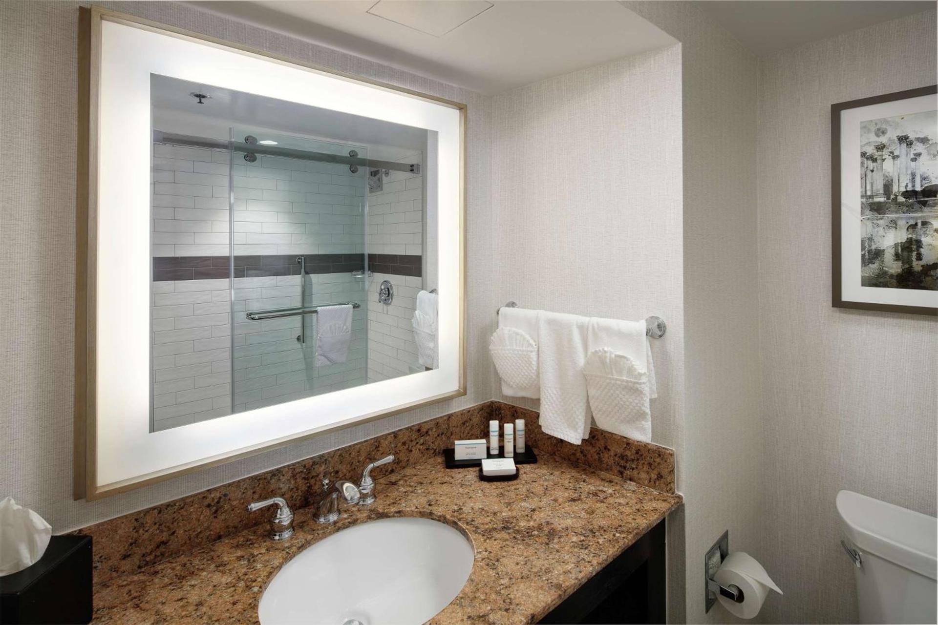 Embassy Suites Tysons Corner photo 18