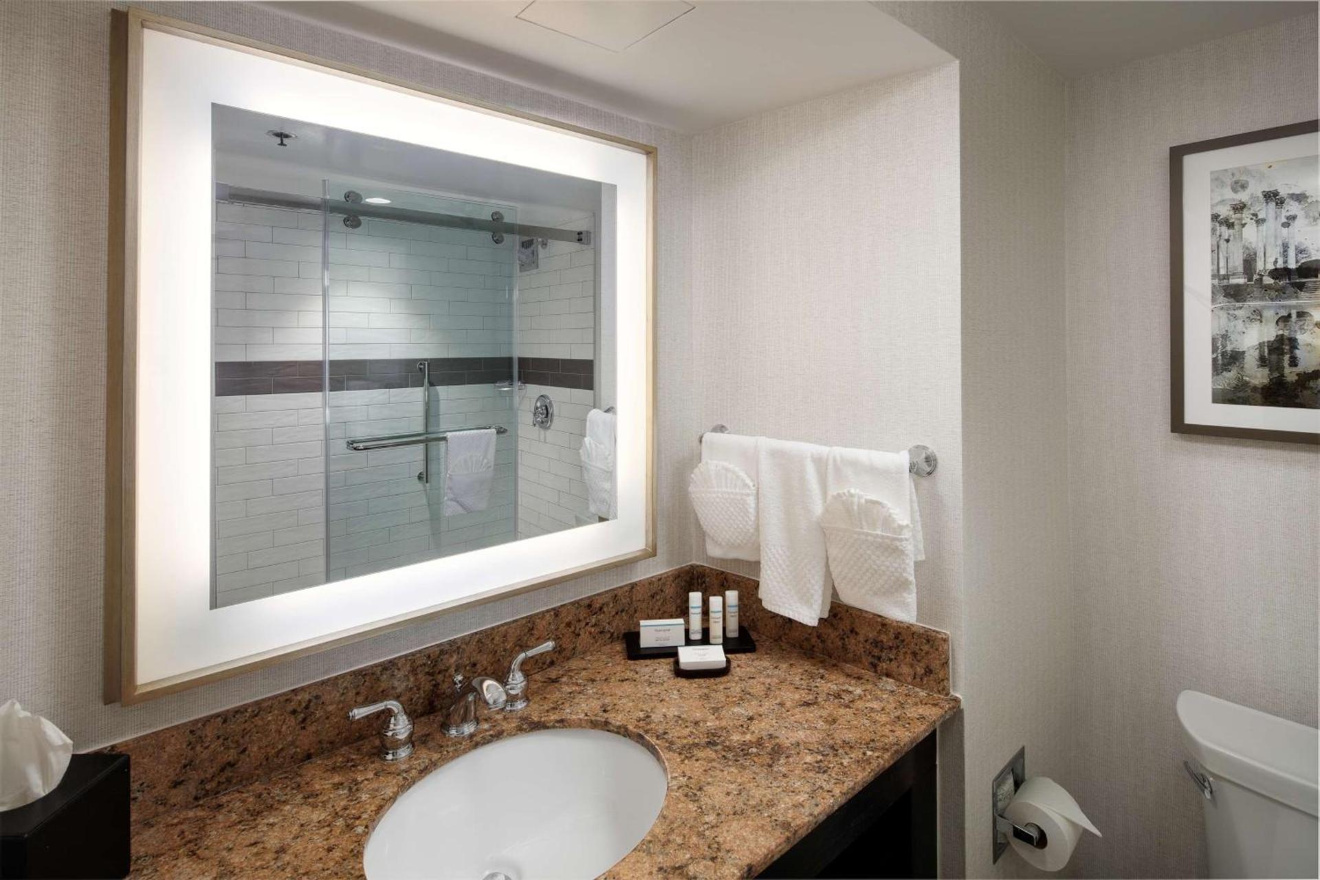 Embassy Suites Tysons Corner photo 29