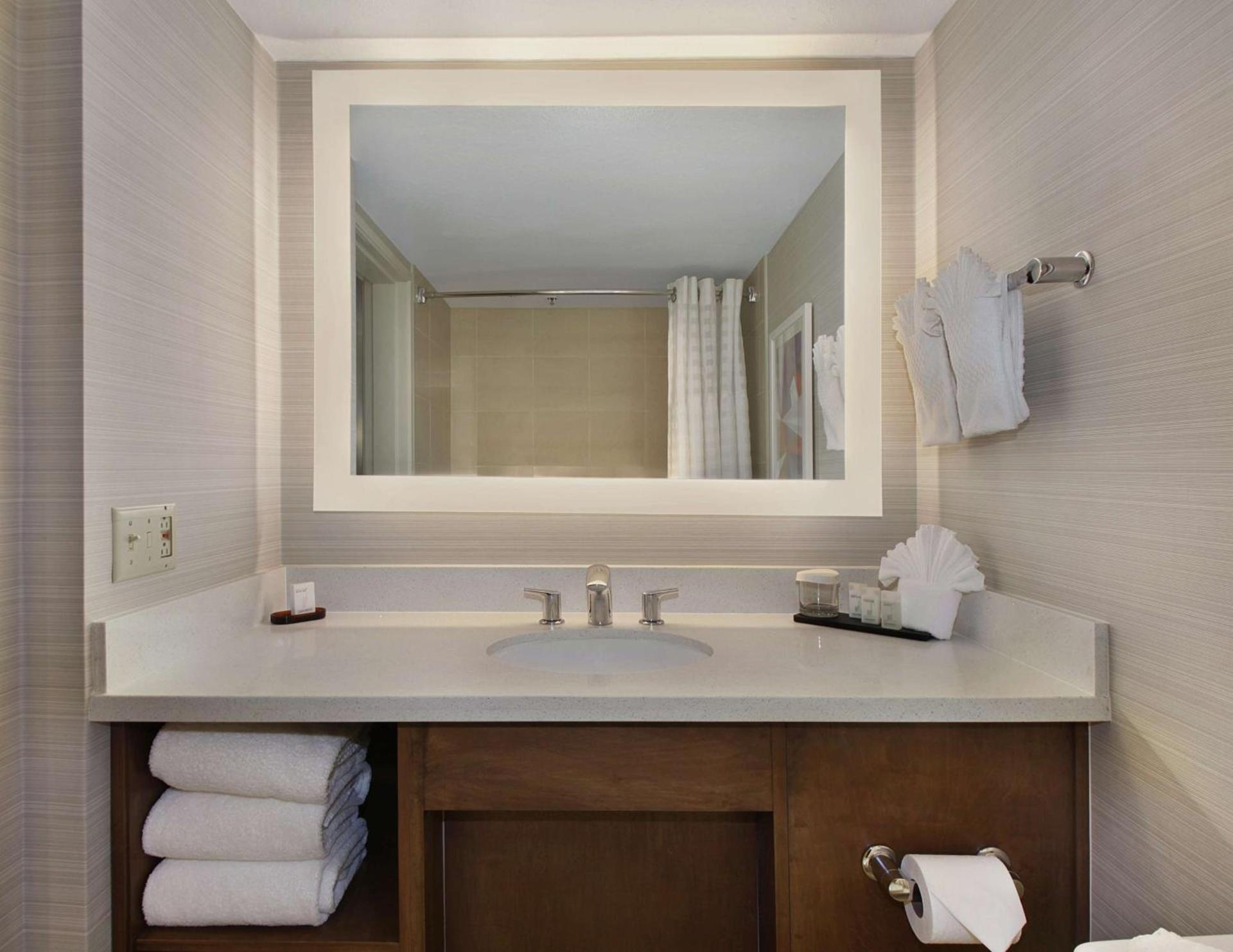 Embassy Suites by Hilton Anaheim North photo 15