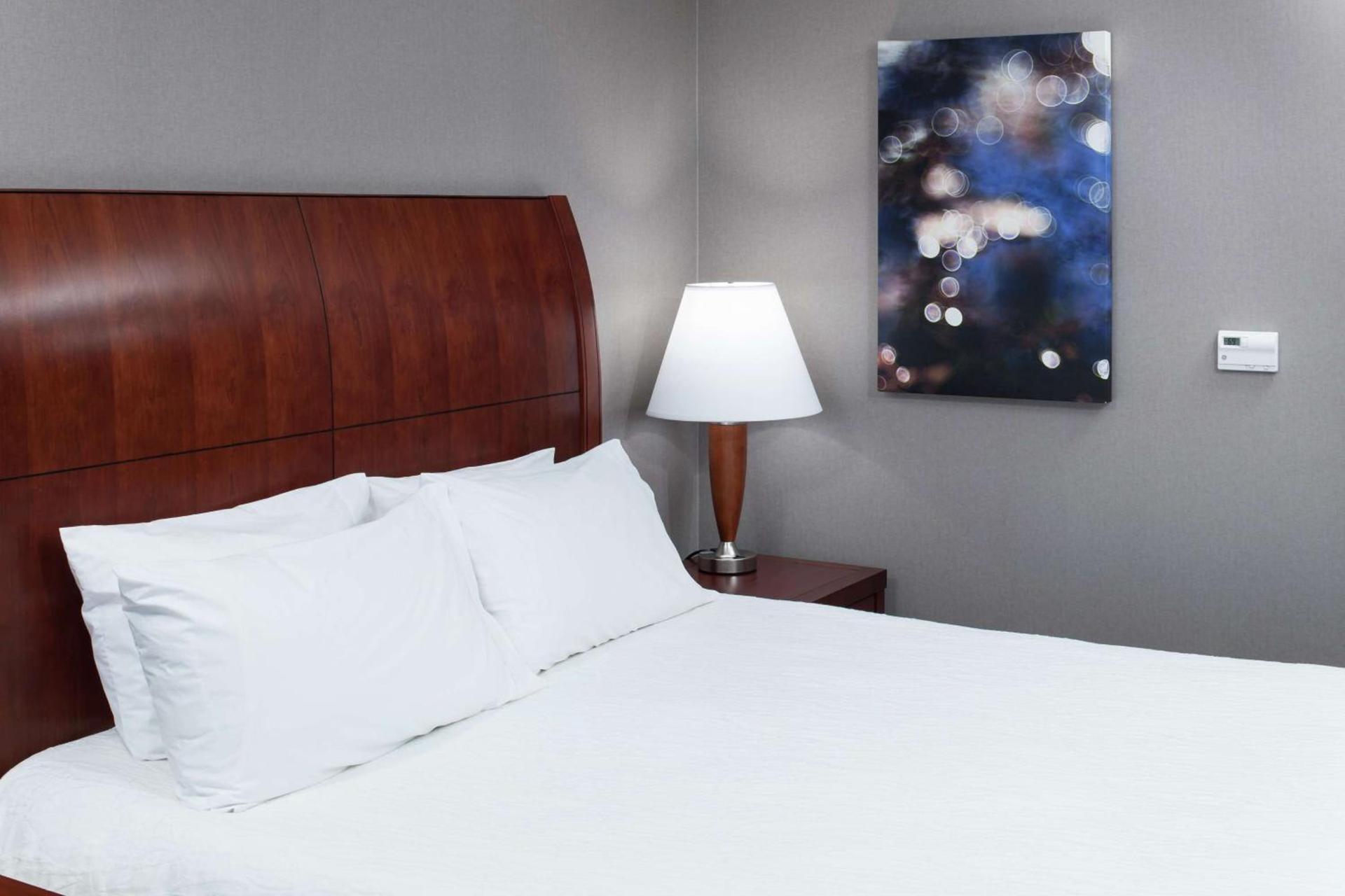 Hilton Garden Inn Naperville/Warrenville photo 17