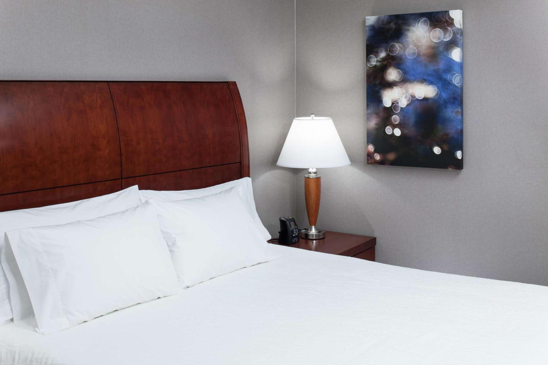 Hilton Garden Inn Lake Forest Mettawa photo 20