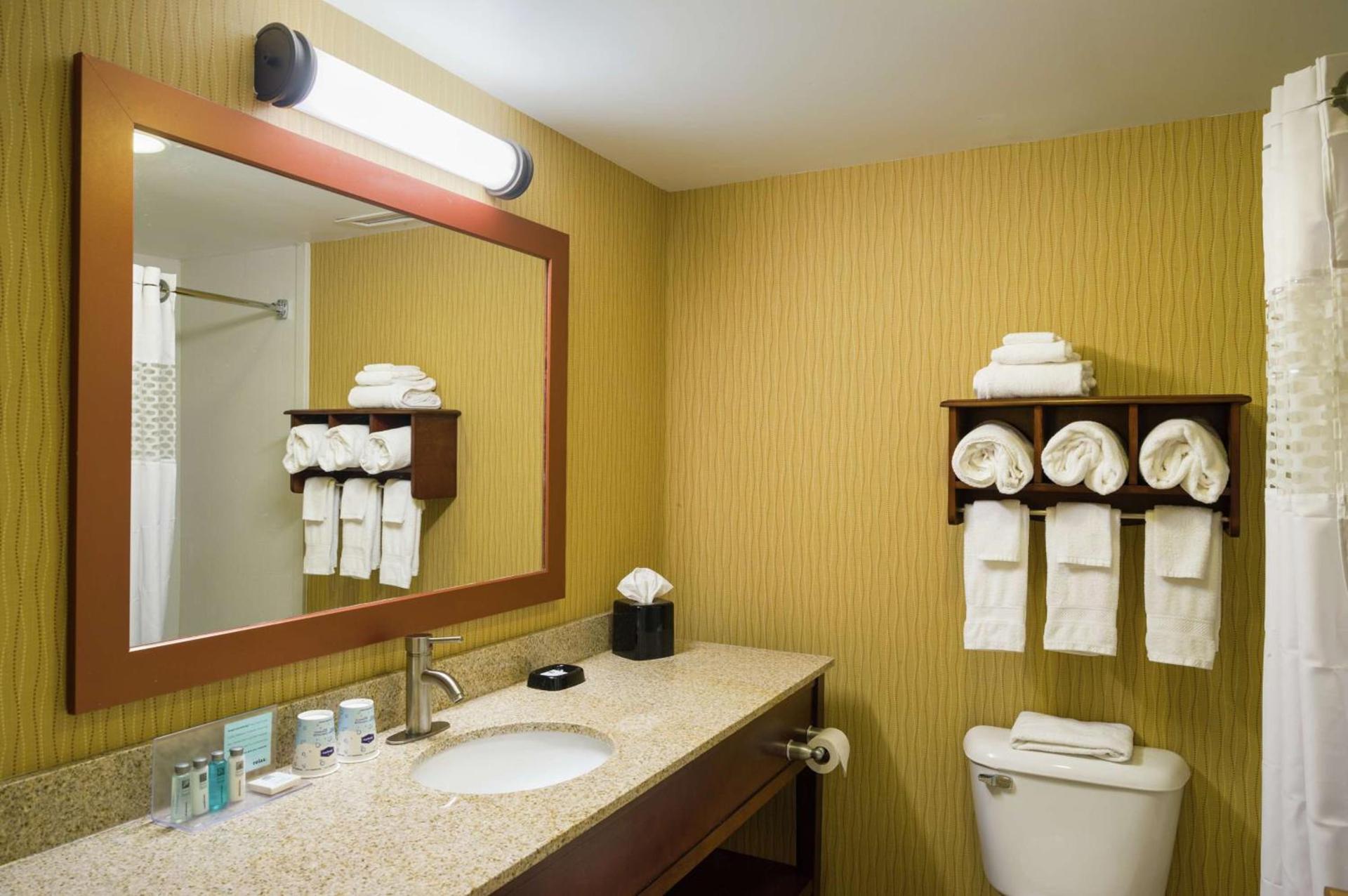 Hampton Inn Selinsgrove/Shamokin Dam photo 18