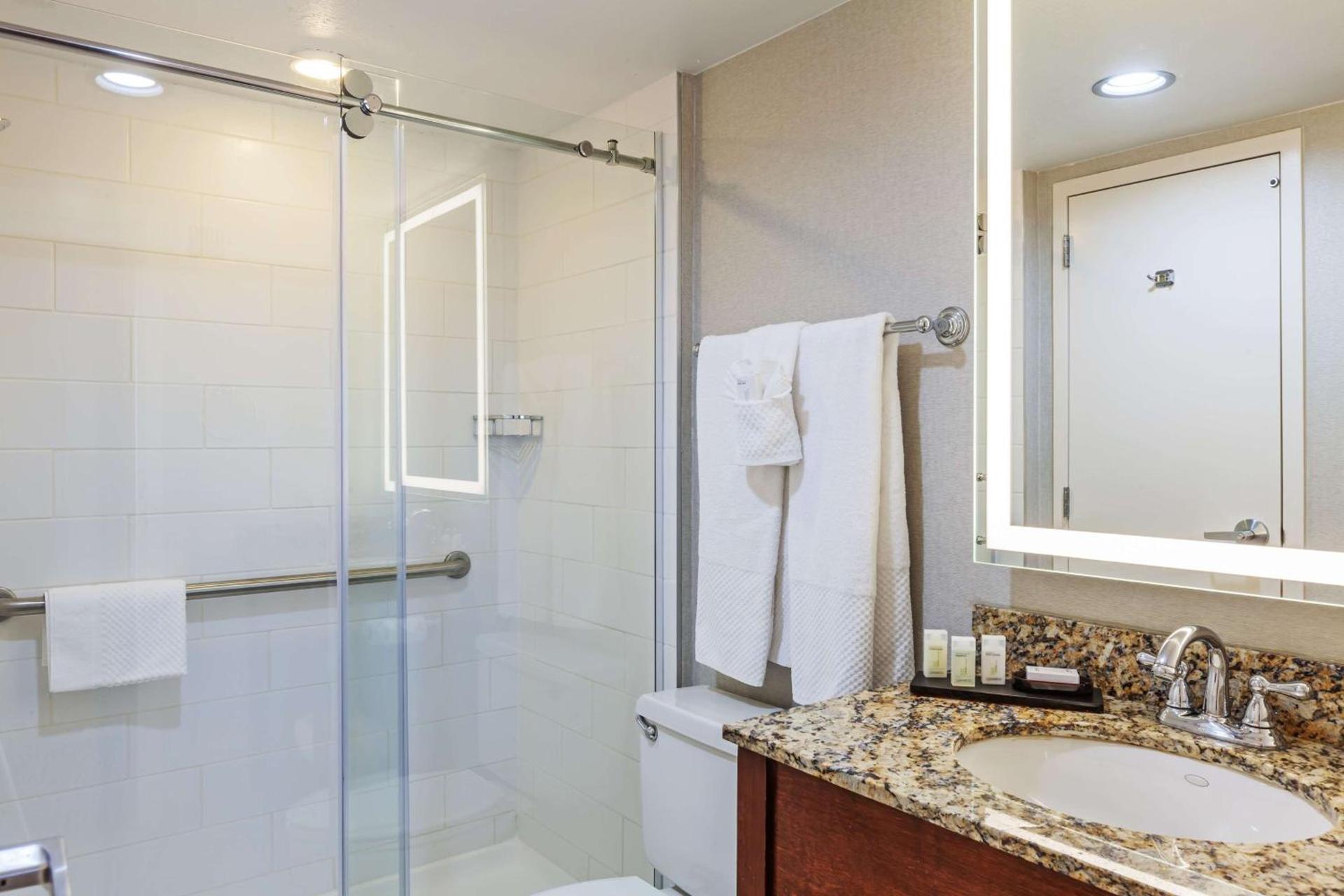 Embassy Suites by Hilton Dallas Market Center photo 34