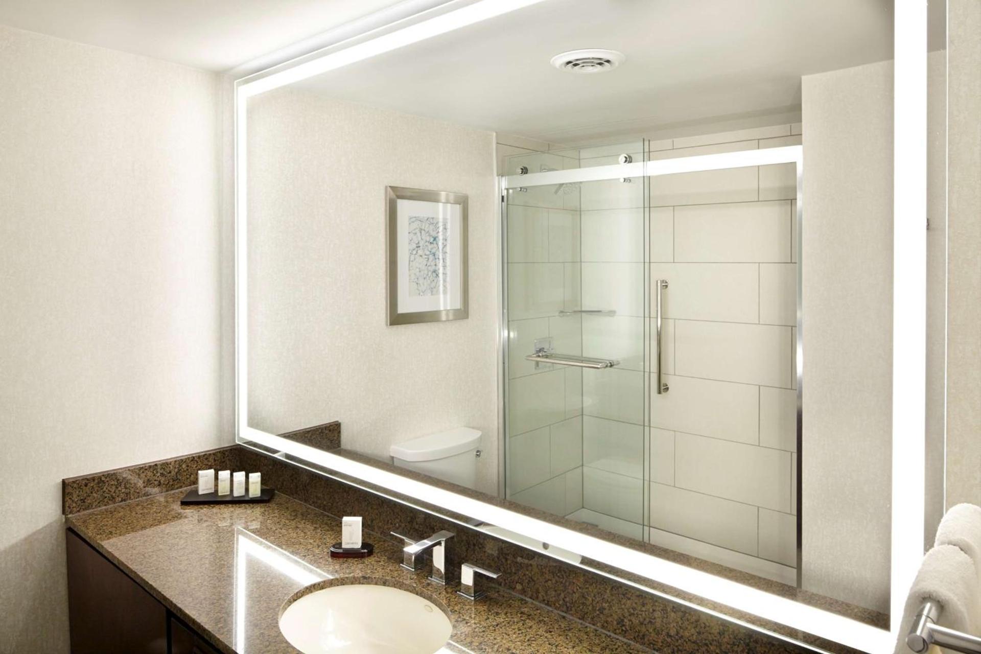 Embassy Suites by Hilton Atlanta Galleria photo 9