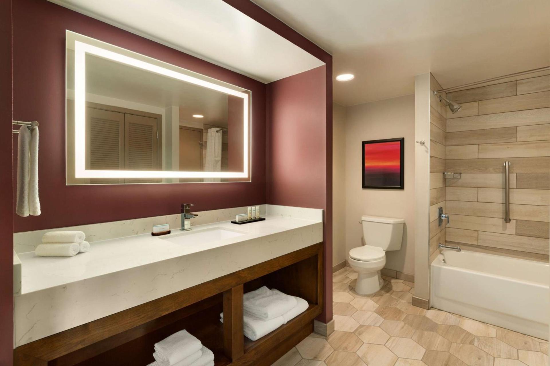Embassy Suites by Hilton Phoenix Downtown North photo 29