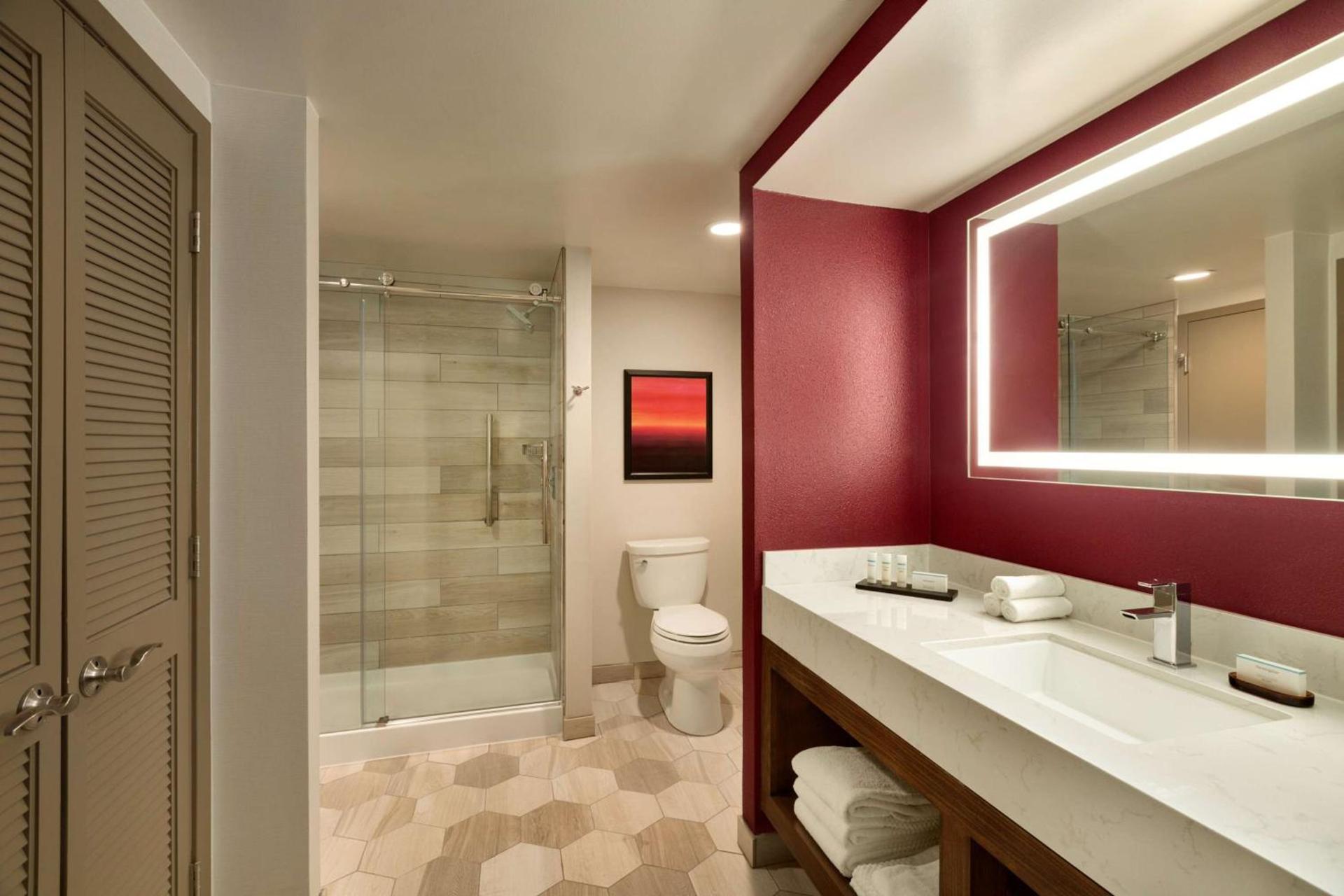 Embassy Suites by Hilton Phoenix Downtown North photo 31