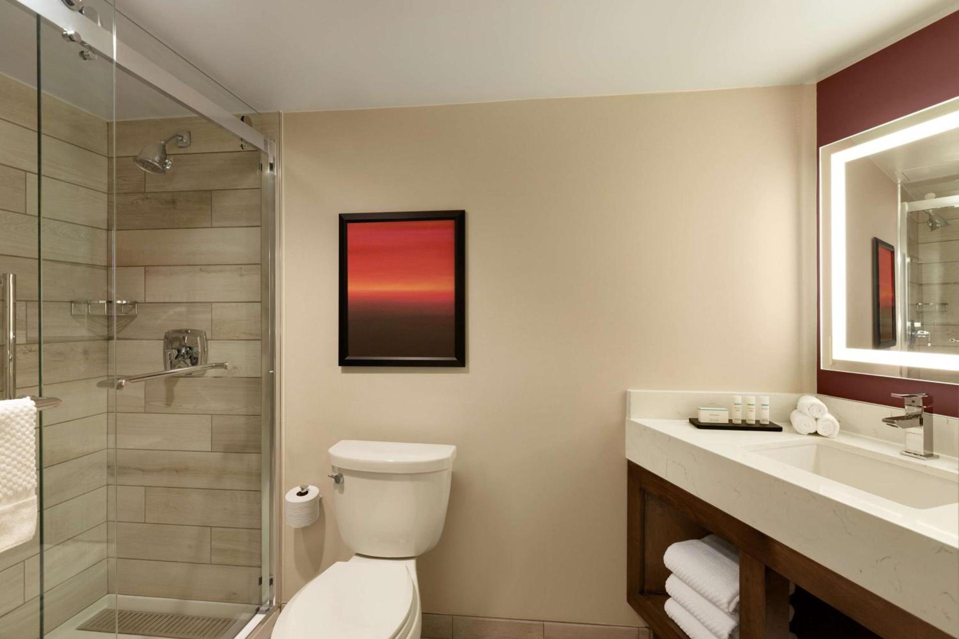 Embassy Suites by Hilton Phoenix Downtown North photo 44