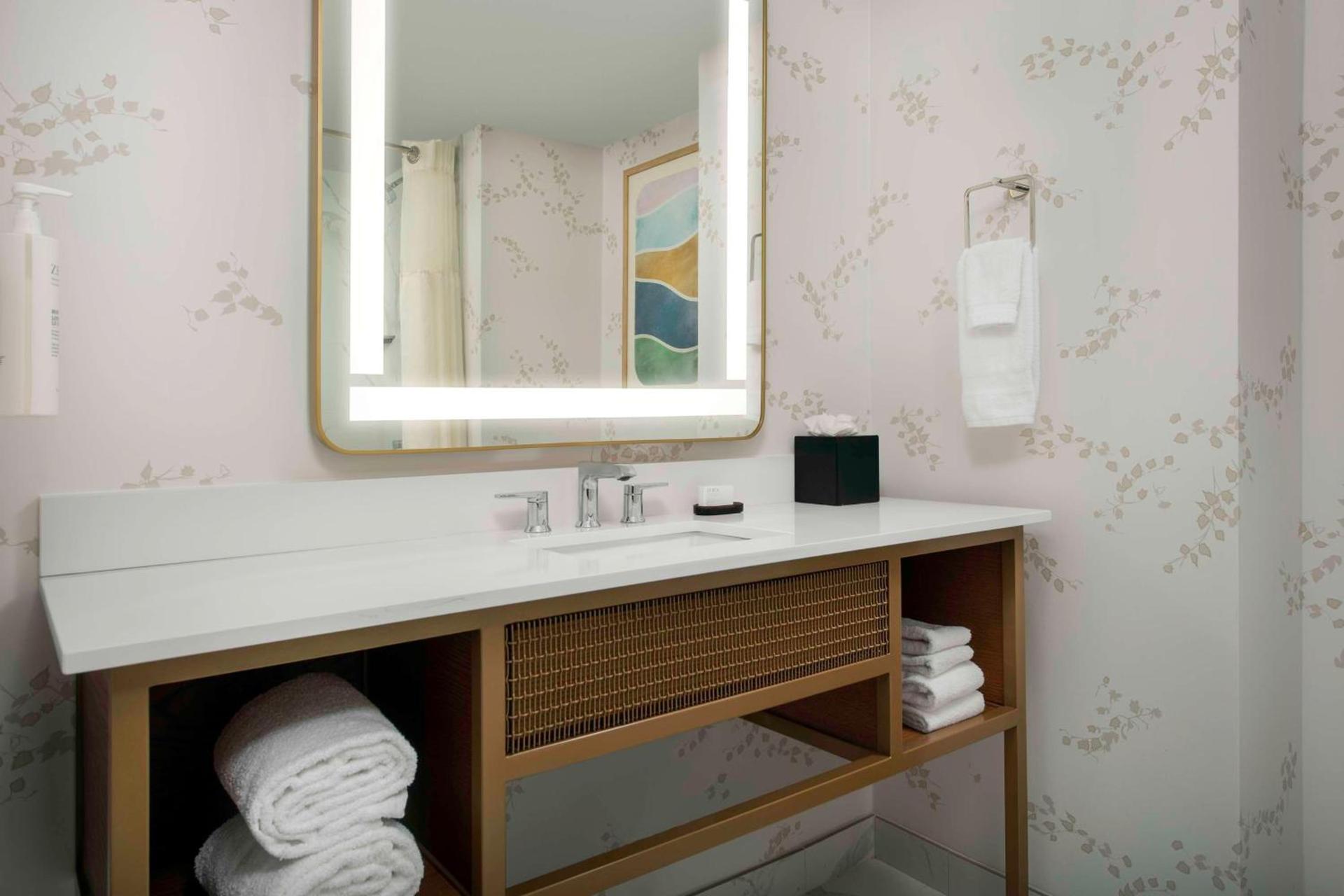 Embassy Suites by Hilton Dulles North Loudoun photo 19