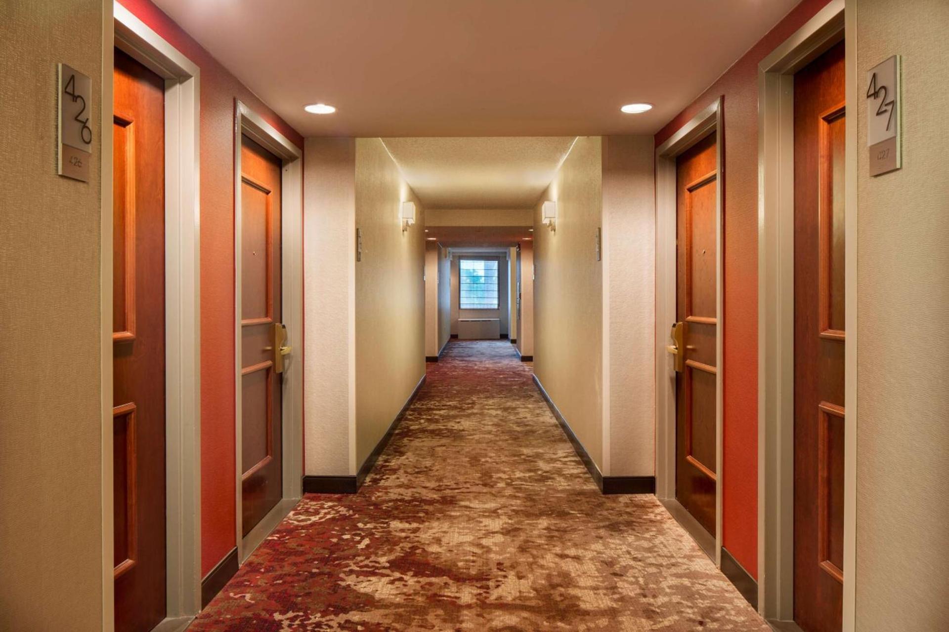 DoubleTree by Hilton Hotel Largo Washington DC photo 18