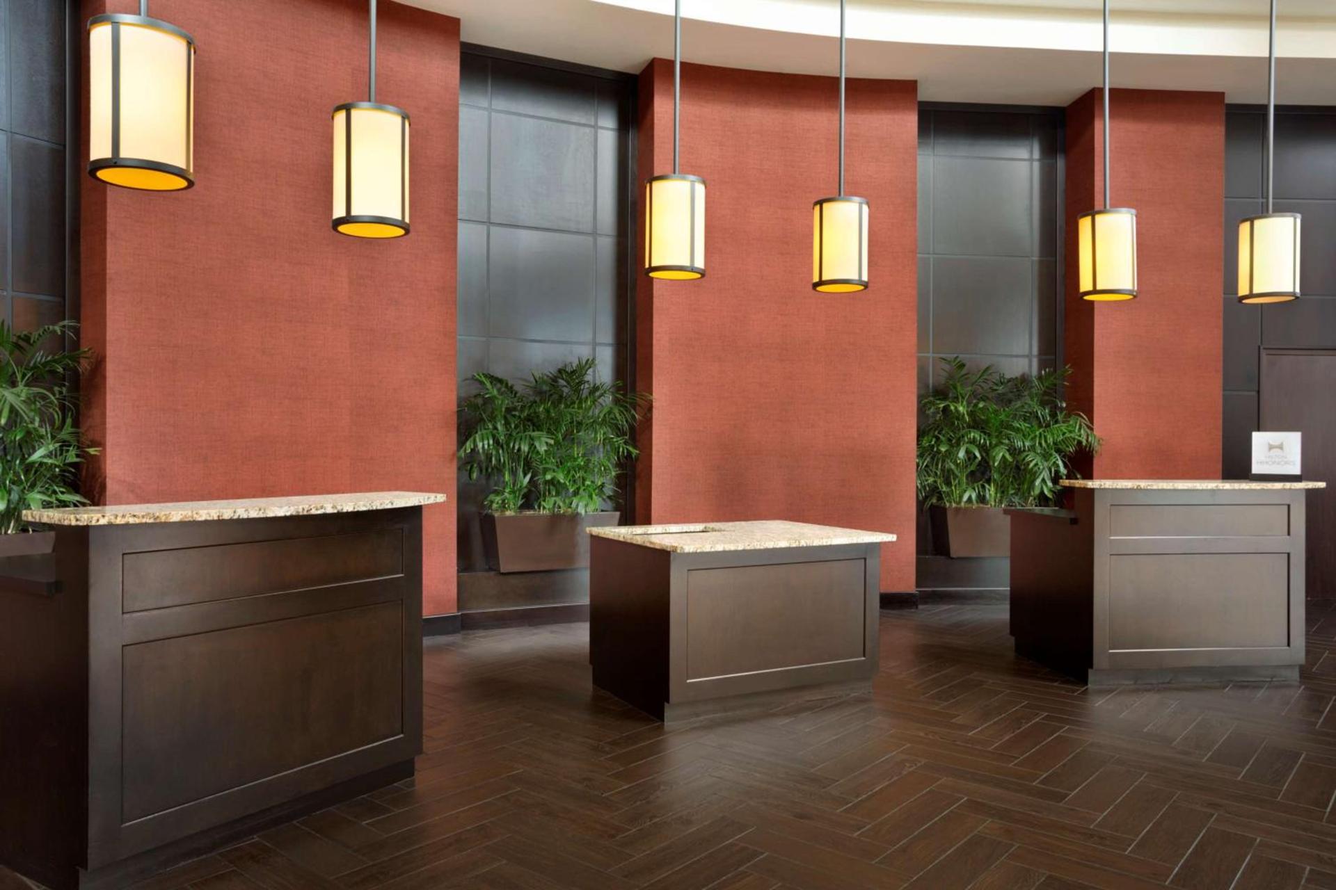 Embassy Suites by Hilton Jackson North Ridgeland photo 3