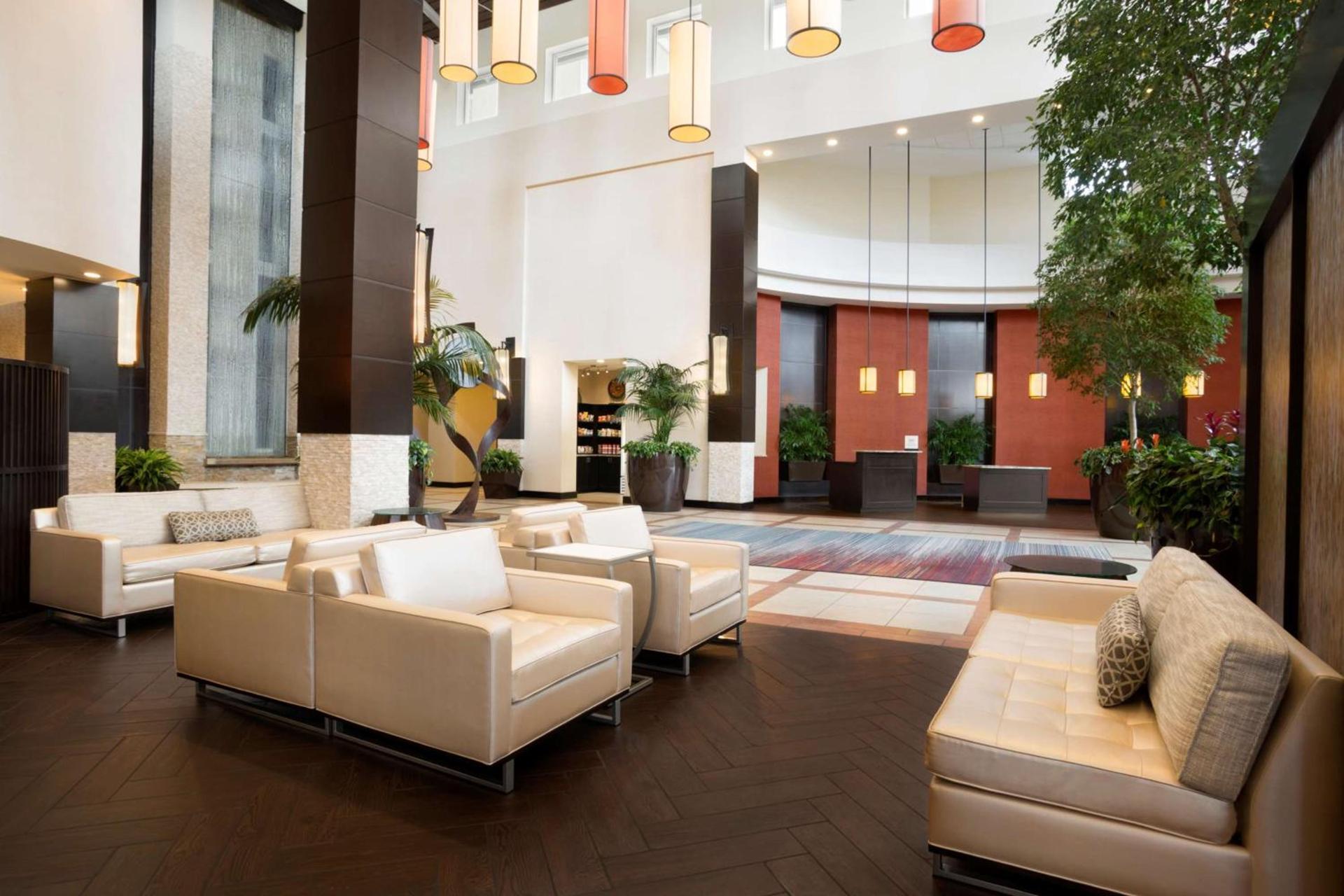 Embassy Suites by Hilton Jackson North Ridgeland photo 8