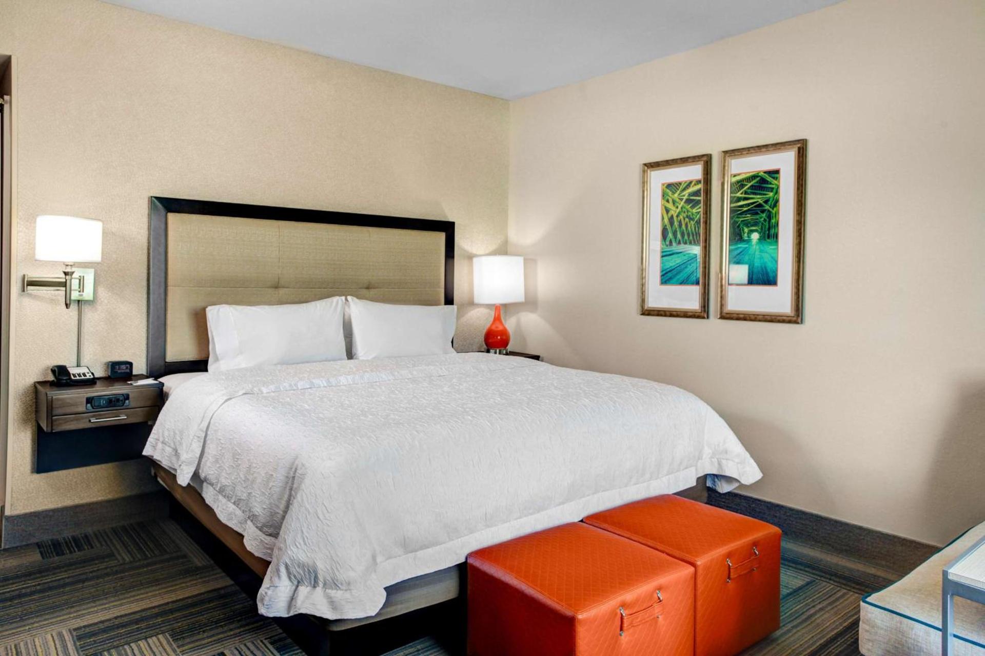 Hampton Inn & Suites by Hilton Atlanta Perimeter Dunwoody photo 38