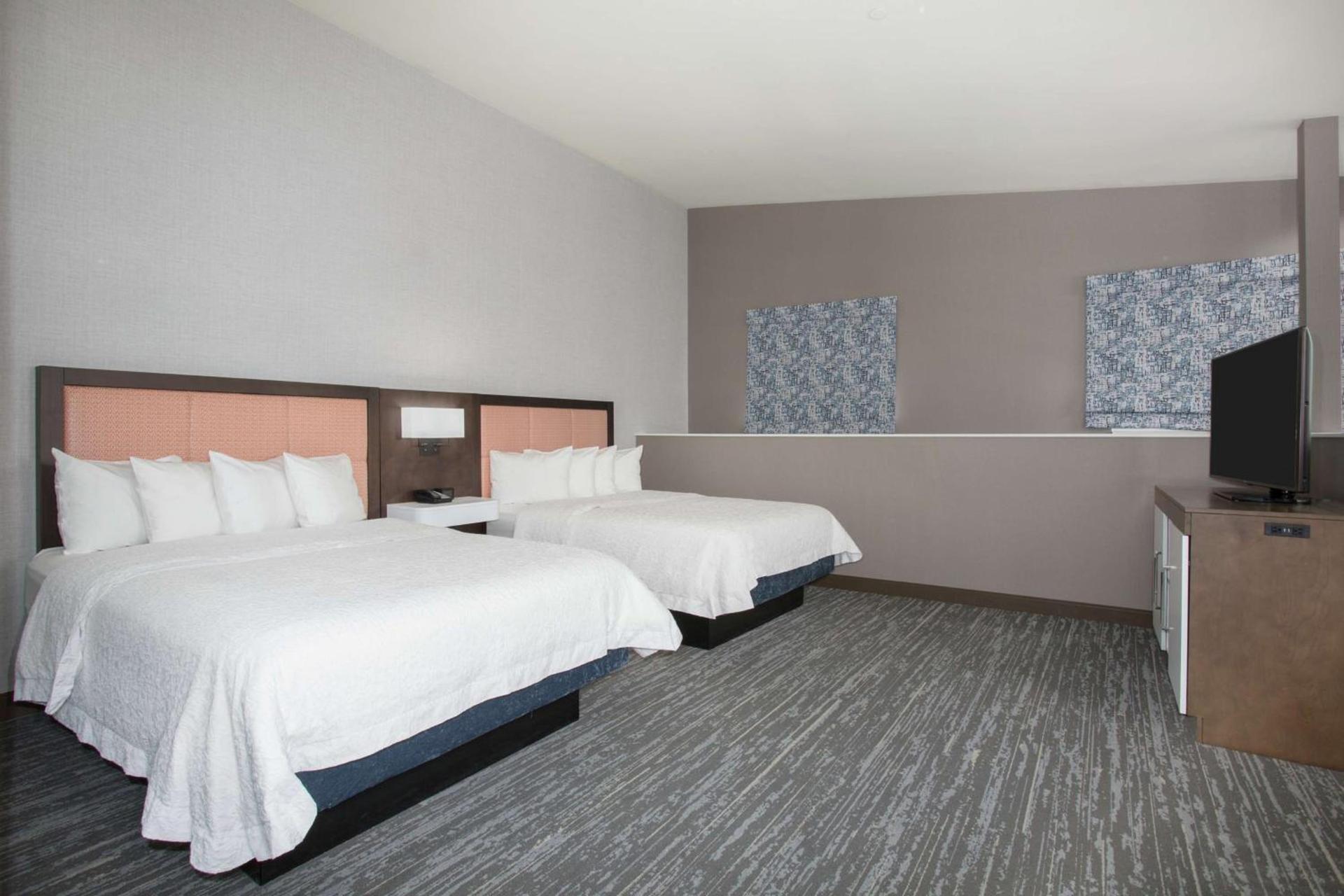 Hampton Inn & Suites Denver-Downtown photo 46