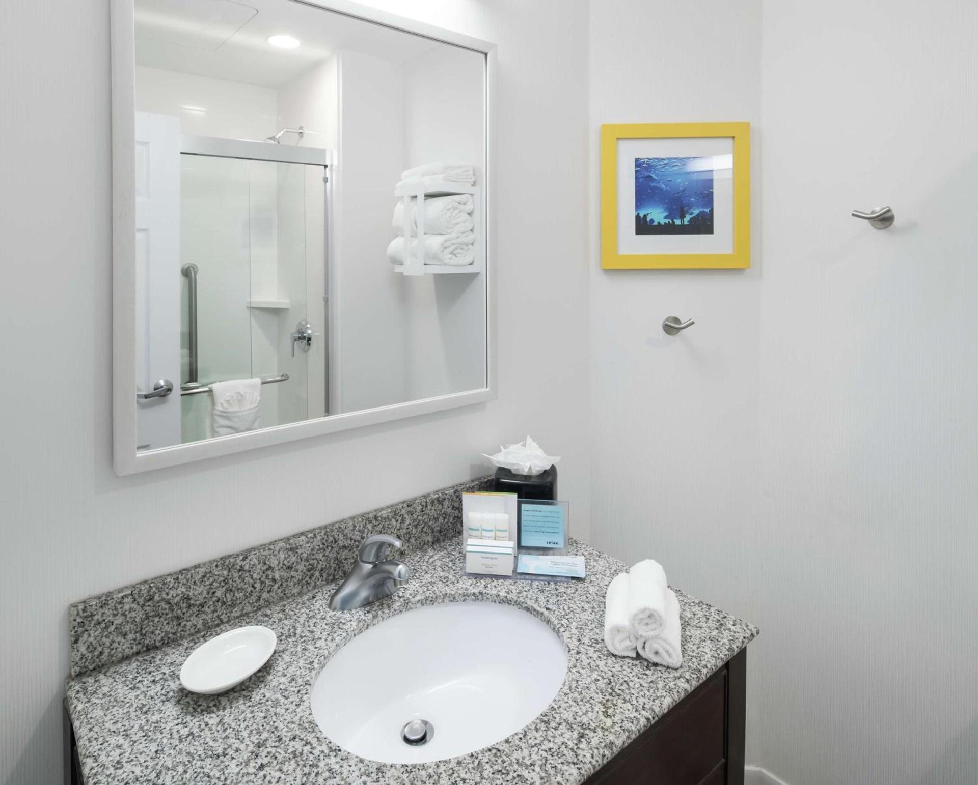 Hampton Inn & Suites Atlanta-Downtown photo 29