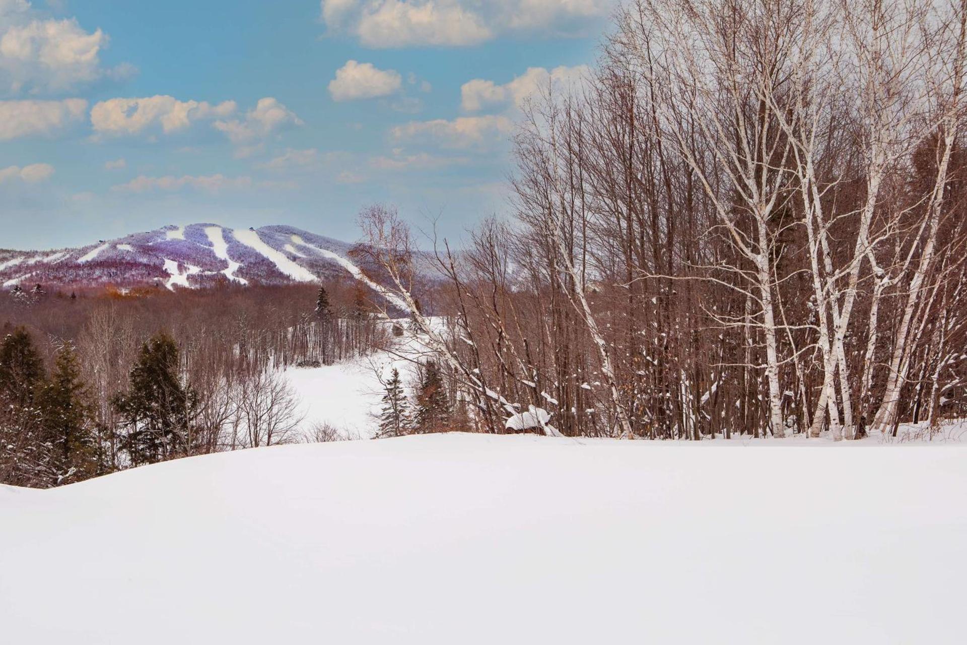 Killington Mountain Lodge, Tapestry Collection by Hilton photo 5