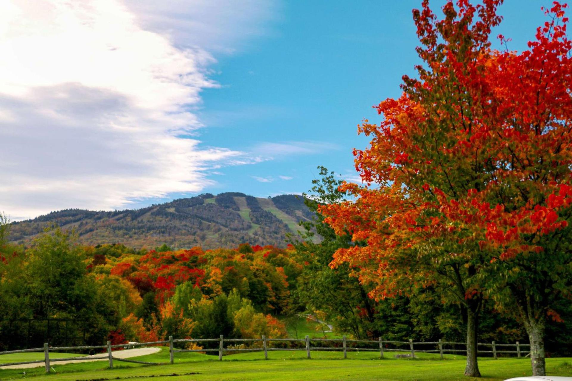 Killington Mountain Lodge, Tapestry Collection by Hilton photo 9
