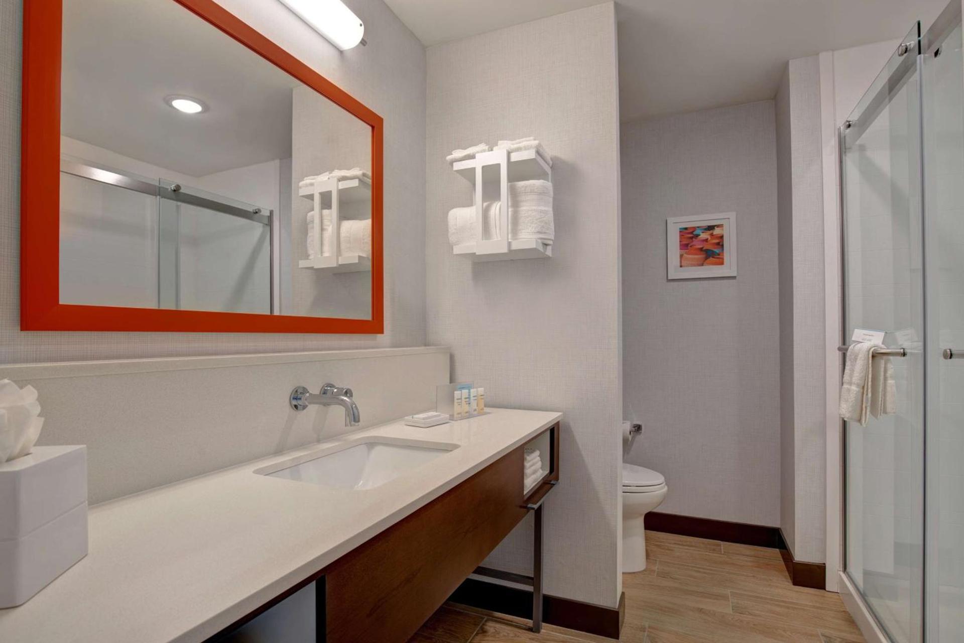 Hampton Inn Santa Fe South, NM photo 38