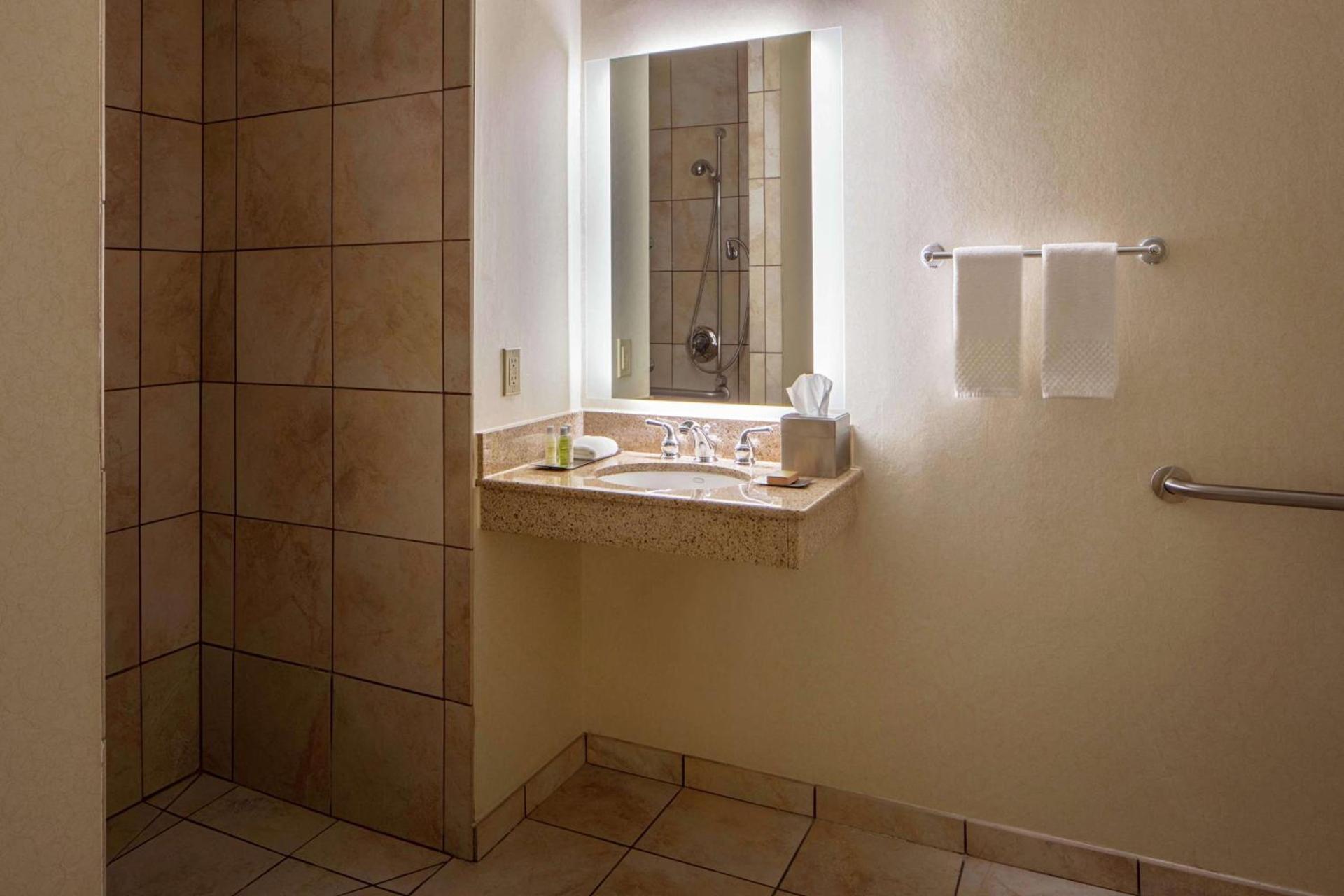 DoubleTree Suites by Hilton Minneapolis Downtown photo 20